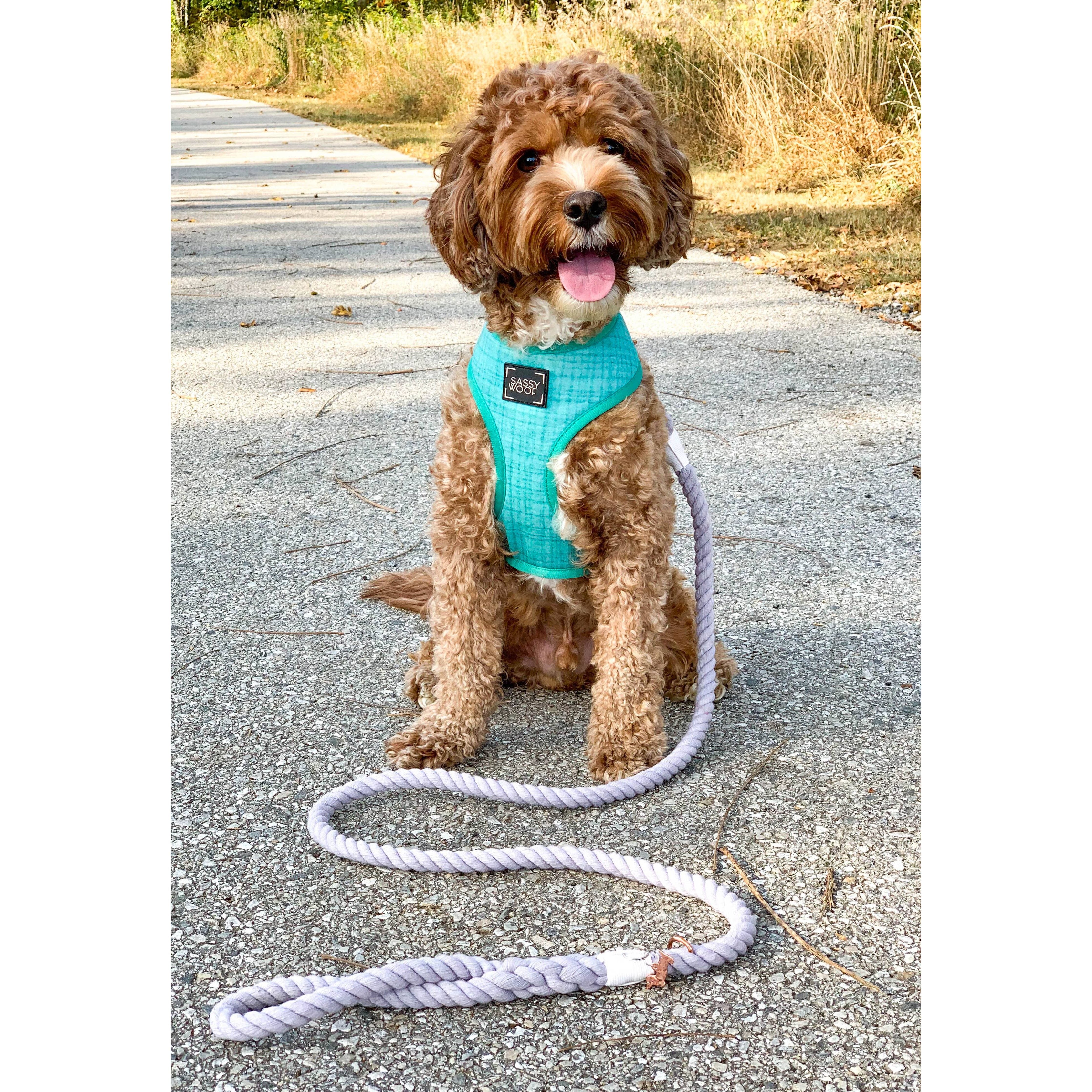 SASSY WOOF Rope Leash - Serenity