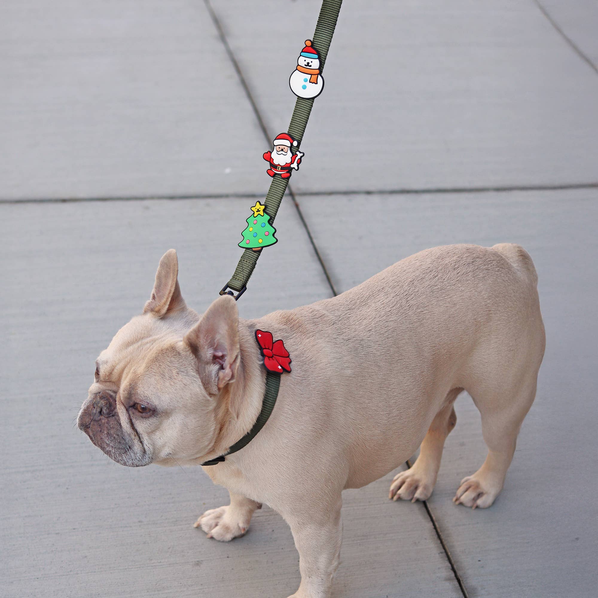 Santa Paws Dog Jiby