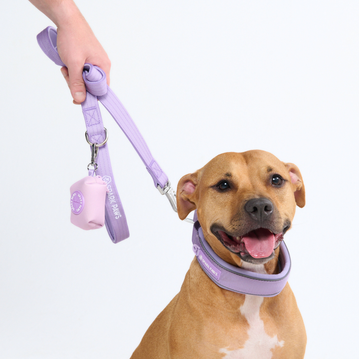 Spark Paws Martingale Collar - Lilac