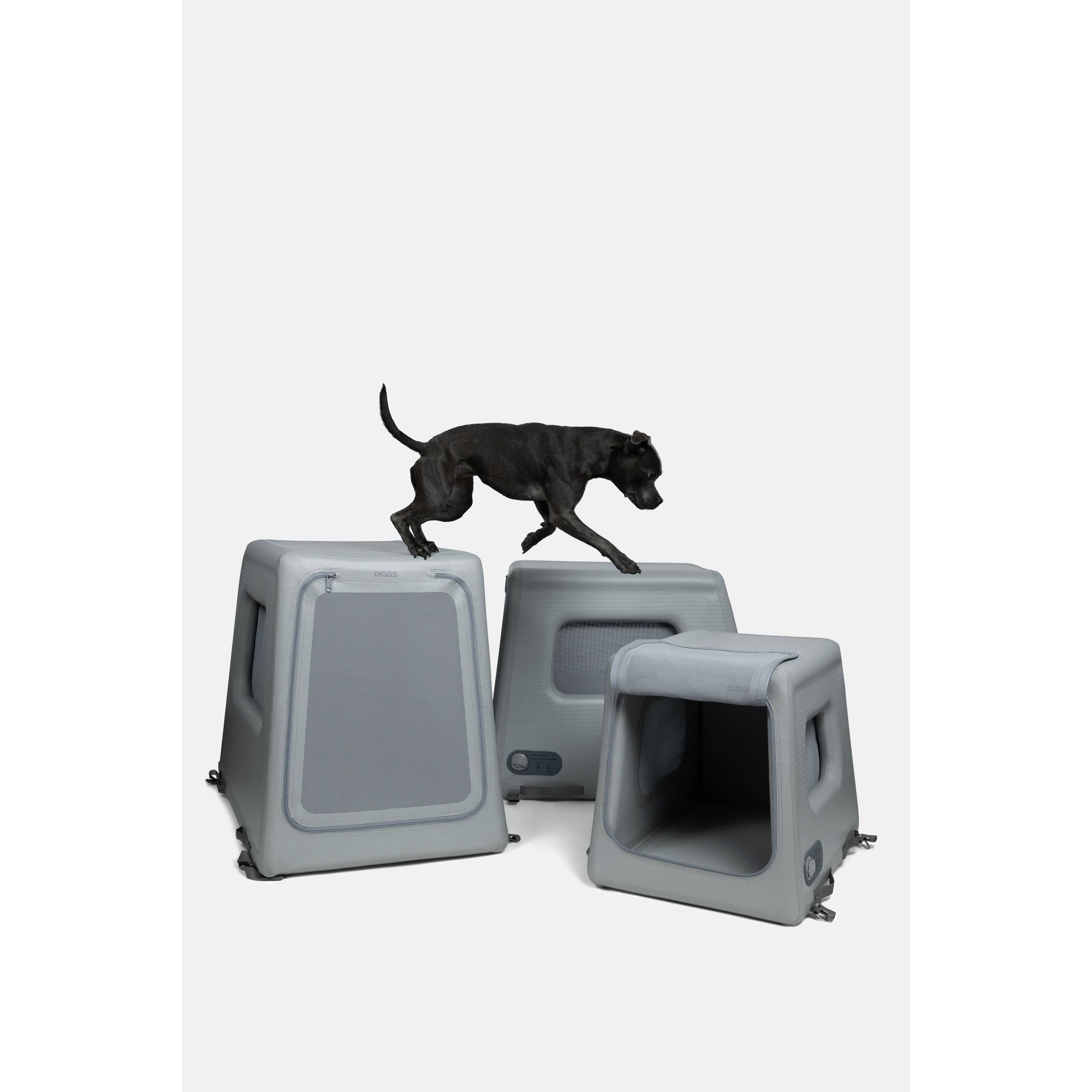 Diggs Enventur Inflatable Travel Kennel