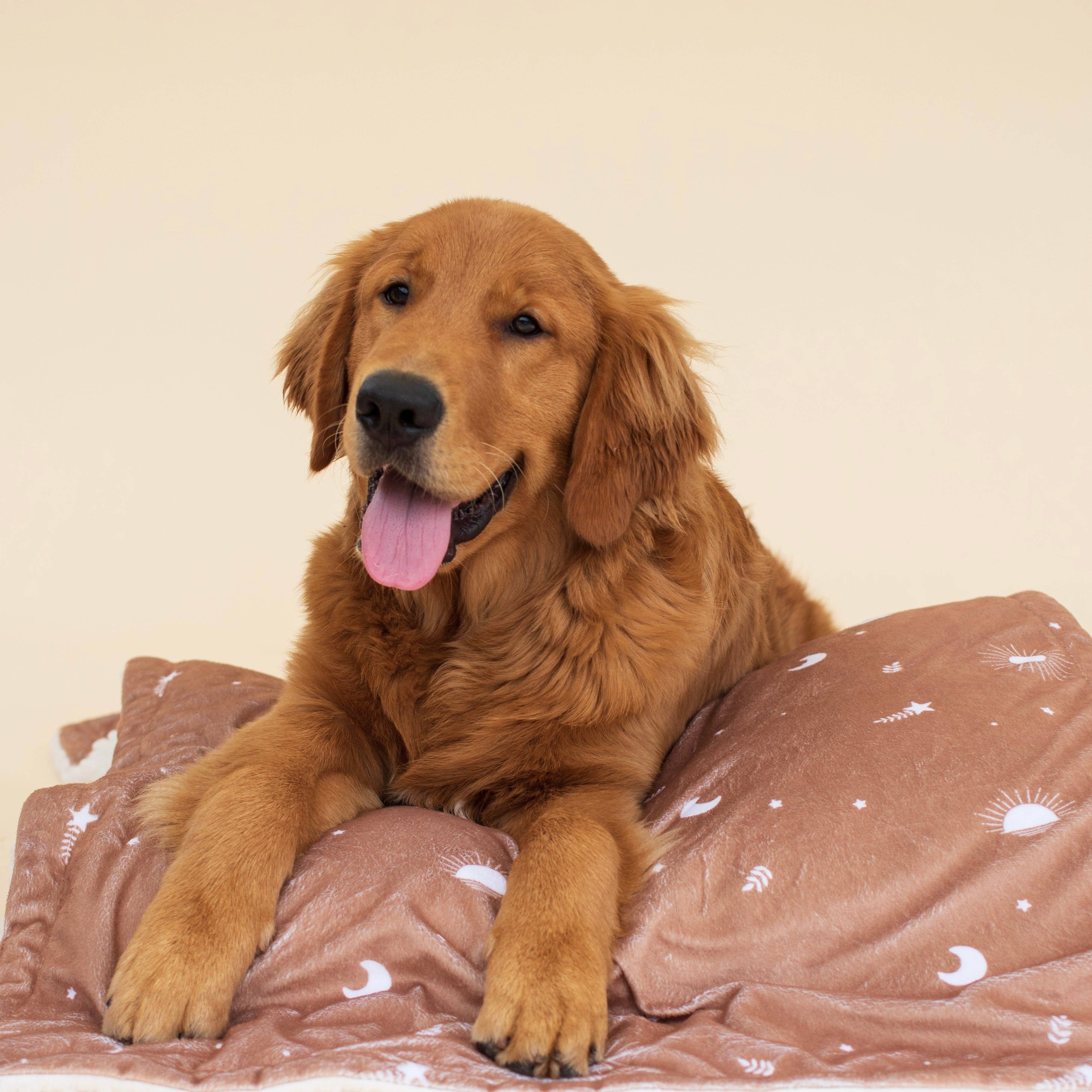 Pawsome Tails Earthy Boho Caramel Dog Blanket