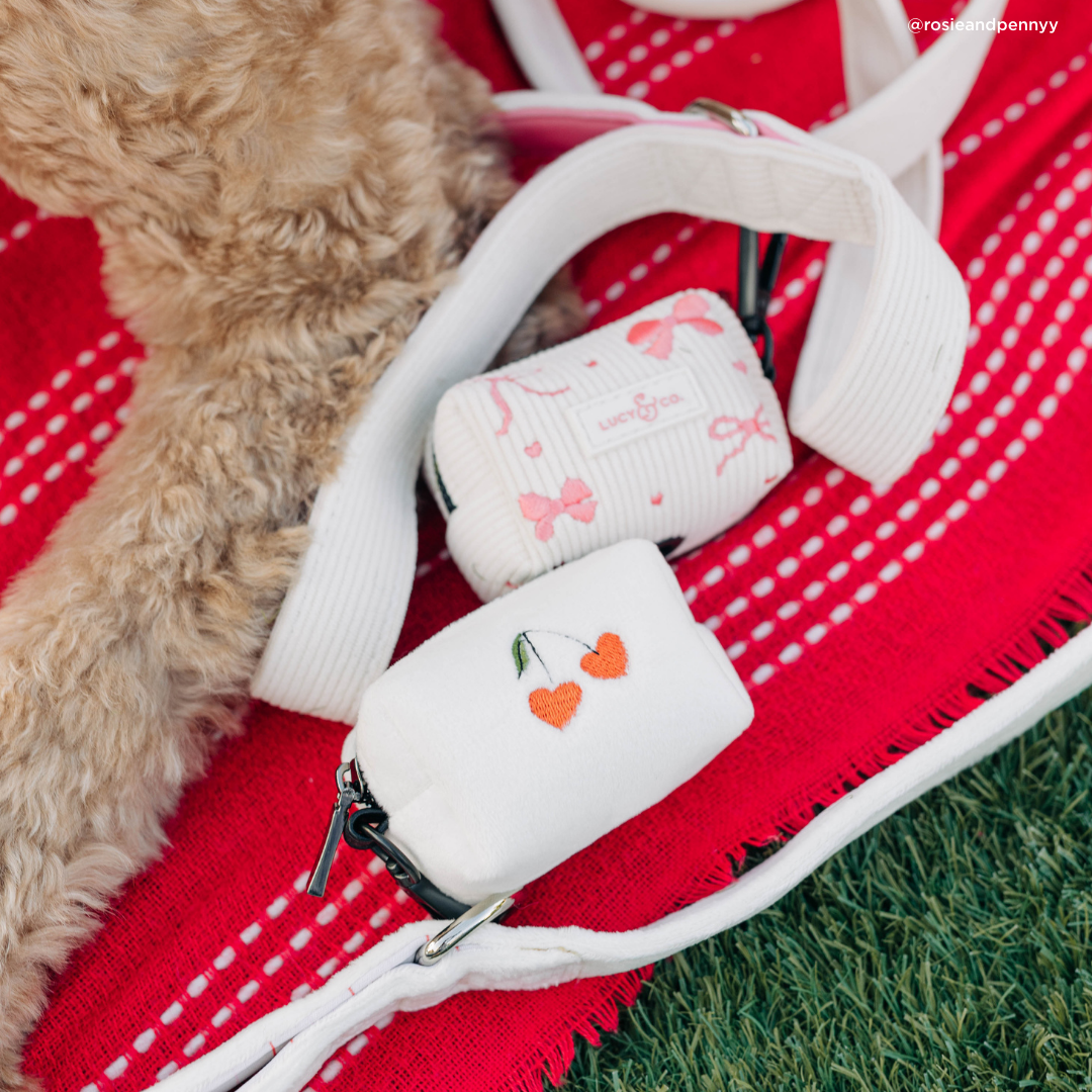Lucy & Co. Ivory Corduroy Leash