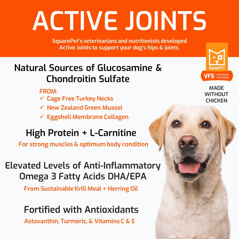 SquarePet VFS Canine Active Joints Formula