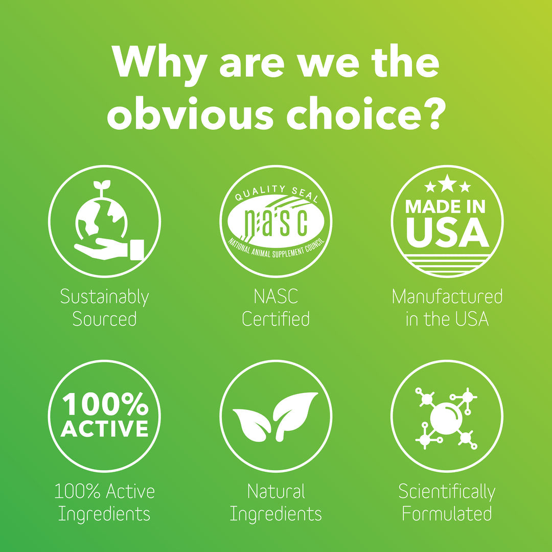 InClover Dog Cat BioResilient Allergy 100 Grams