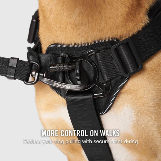 Canada Pooch Complete Control Harness Pink Plaid Canada Pooch Complete Control Harness Pink Plaid