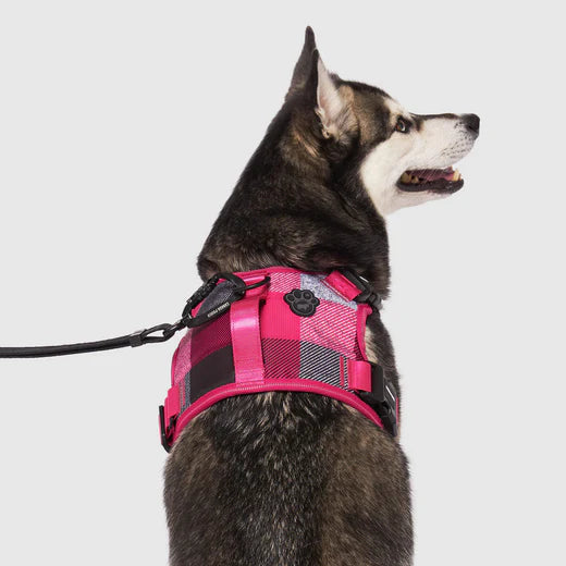 Canada Pooch Complete Control Harness Pink Plaid Canada Pooch Complete Control Harness Pink Plaid