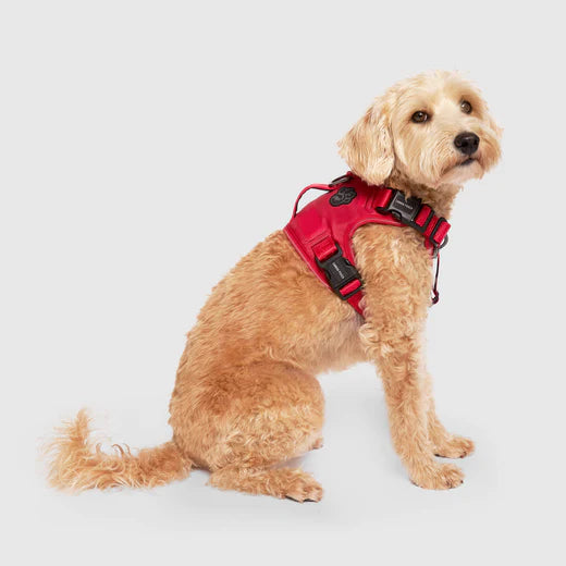 Canada Pooch Complete Control Harness Red