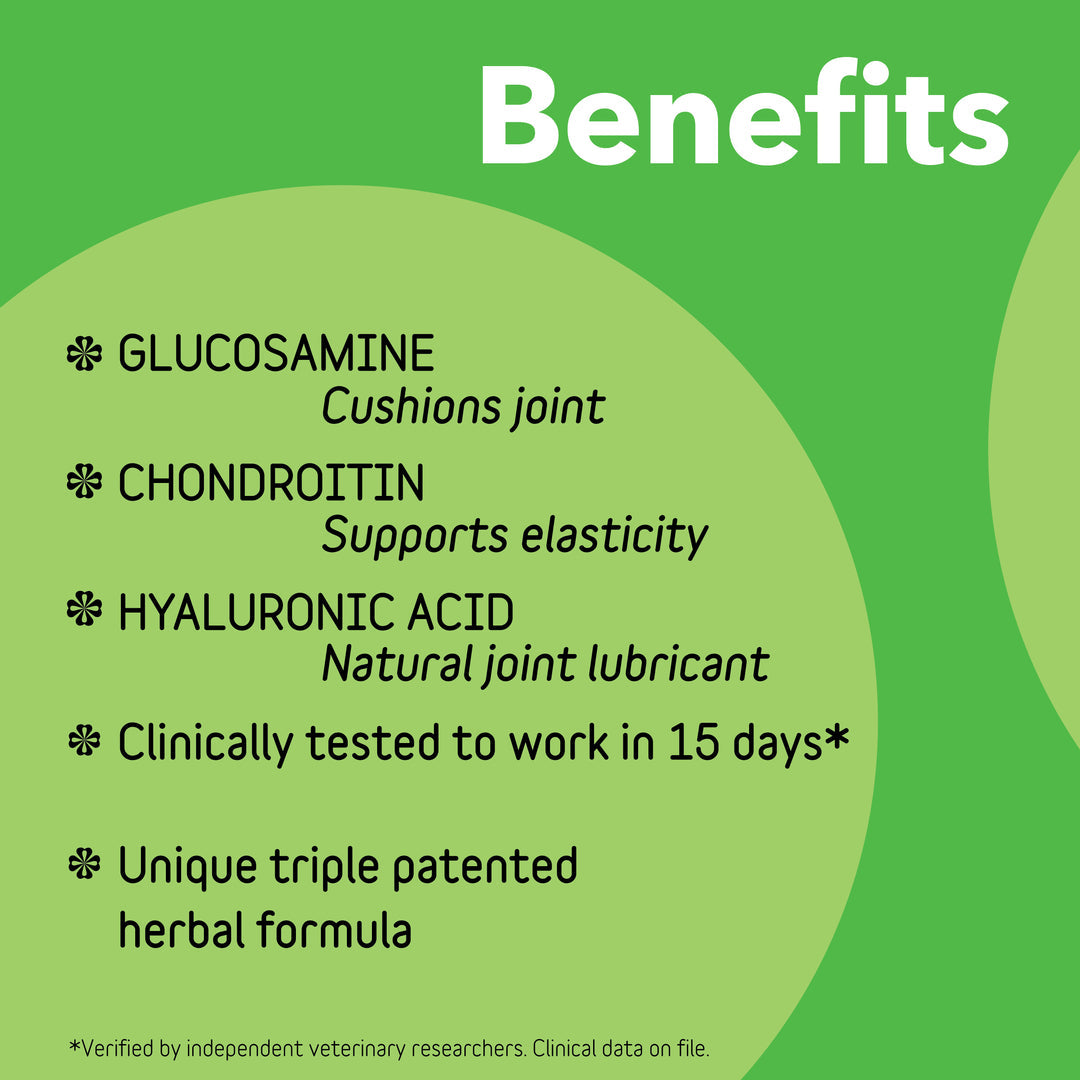 InClover Dog Connectin Powder 12oz