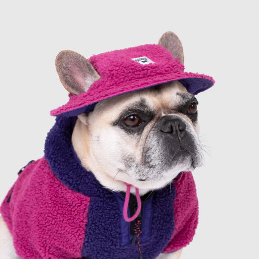 Canada Pooch Cool Factor Bucket Hat Pink