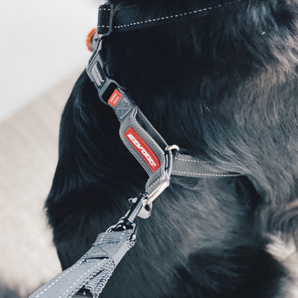 EzyDog Crosscheck Harness Black