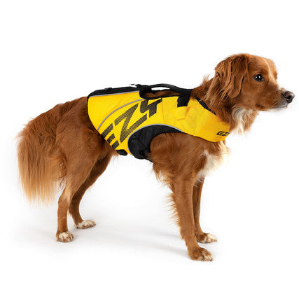 EzyDog DFD X2 Boost Life Jacket Yellow