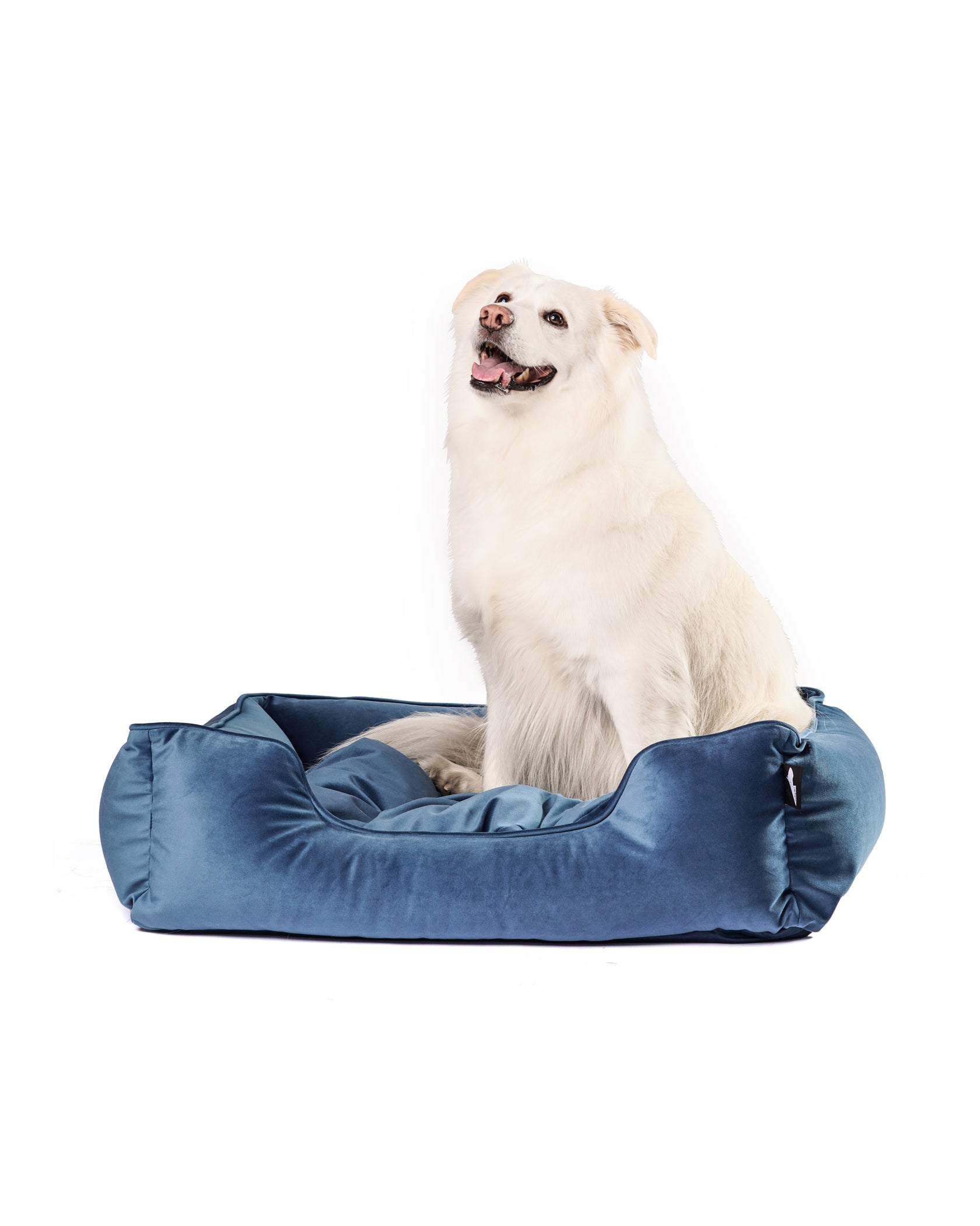 Aspens Camden Cuddler Denim