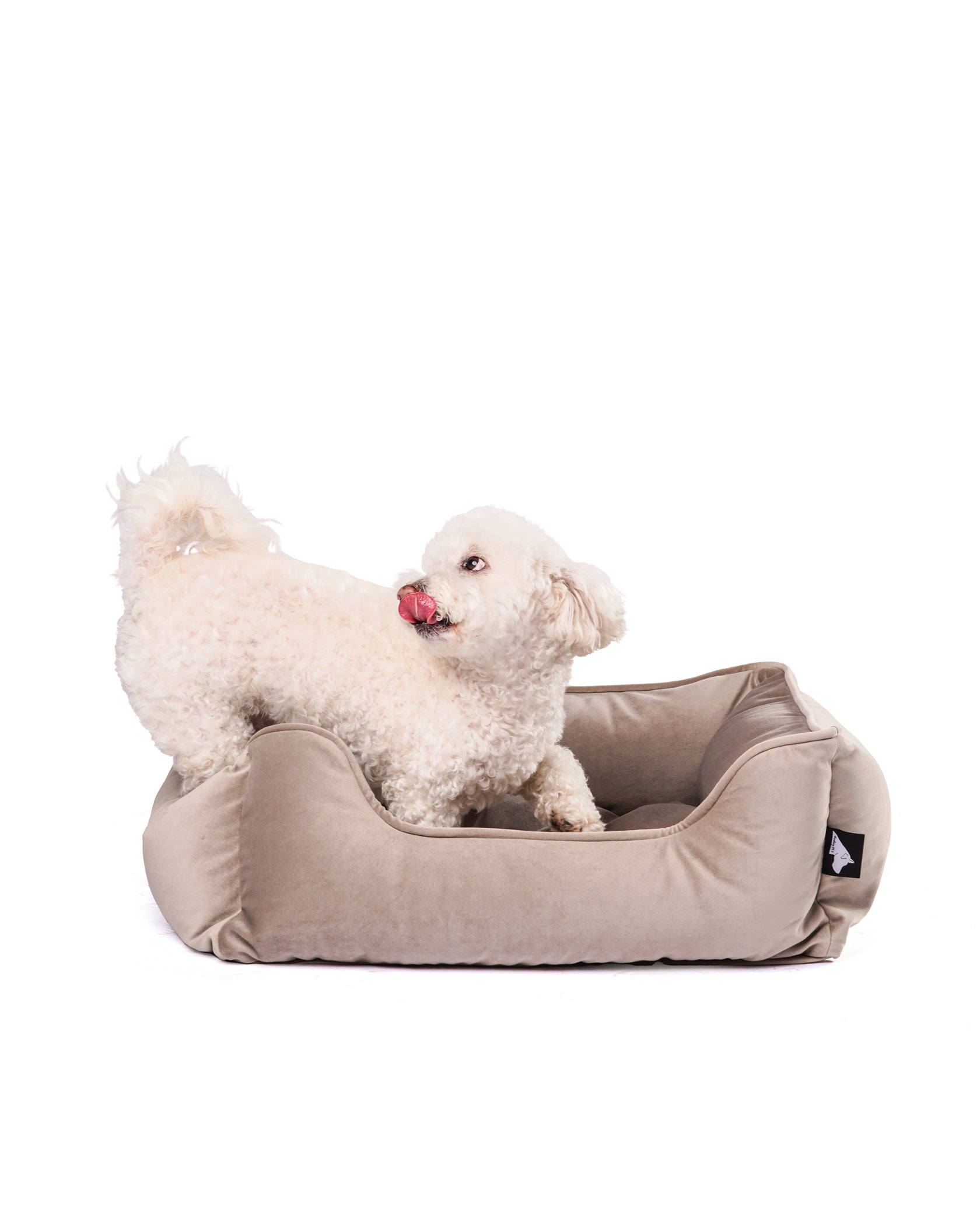 Aspens Camden Cuddler Taupe