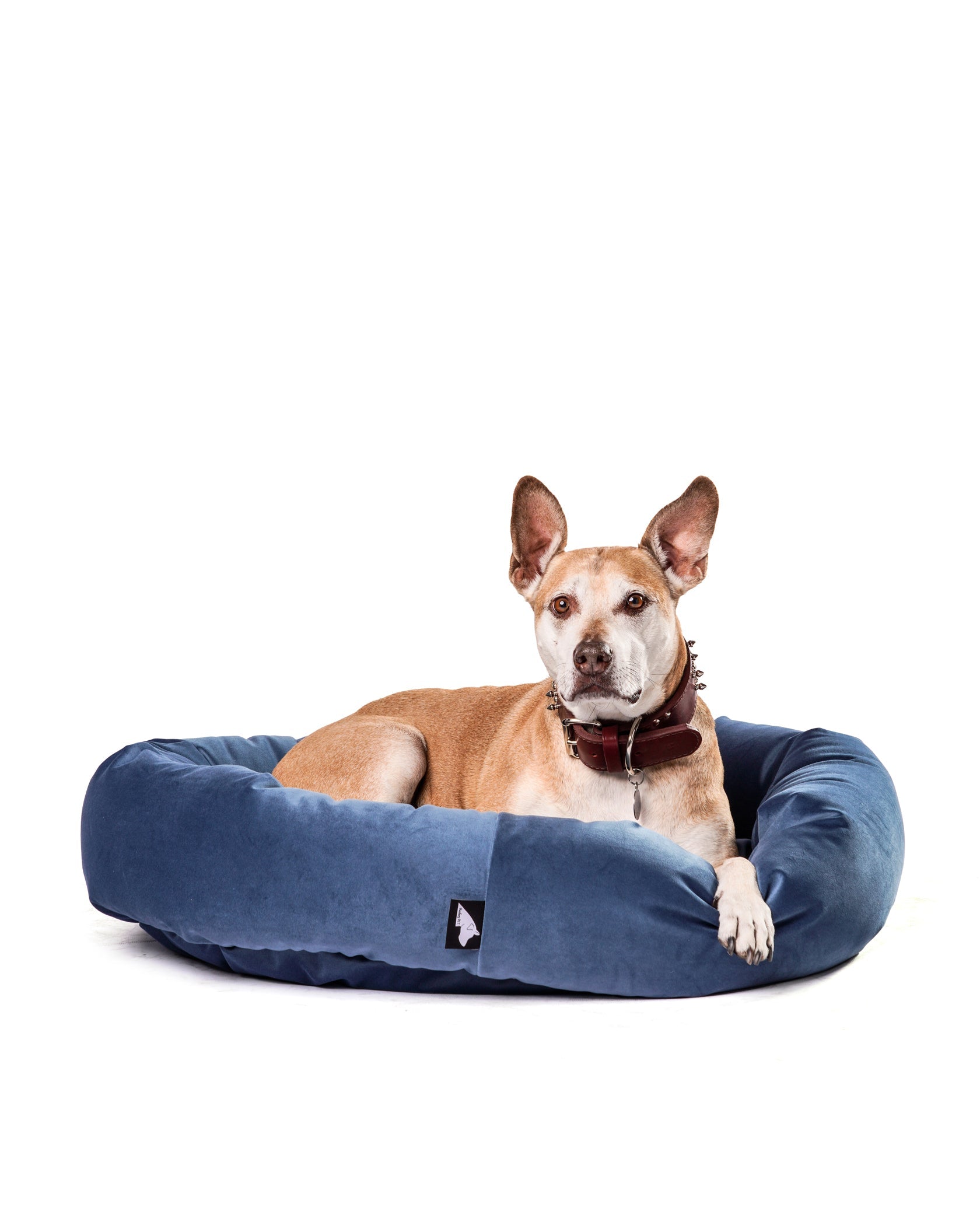 Aspens Robertson Round Denim