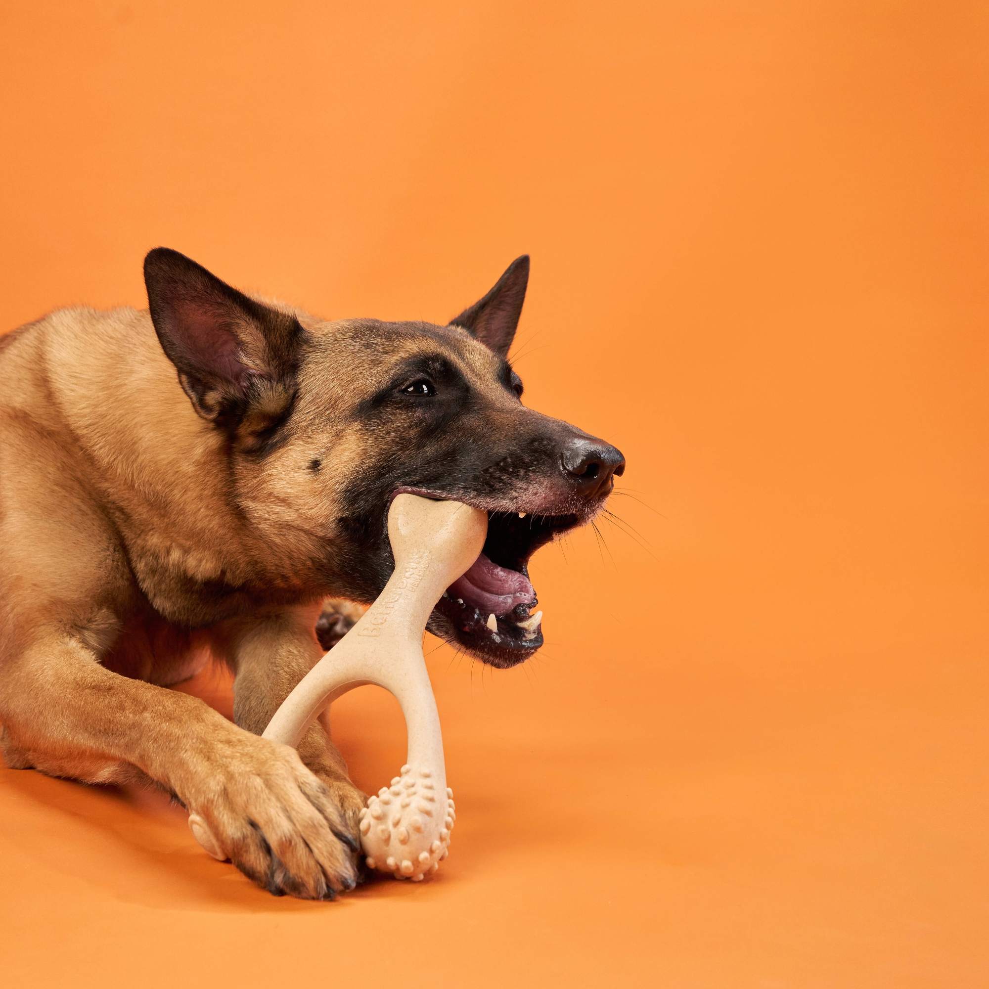 Betterbone Soft Classic Chew
