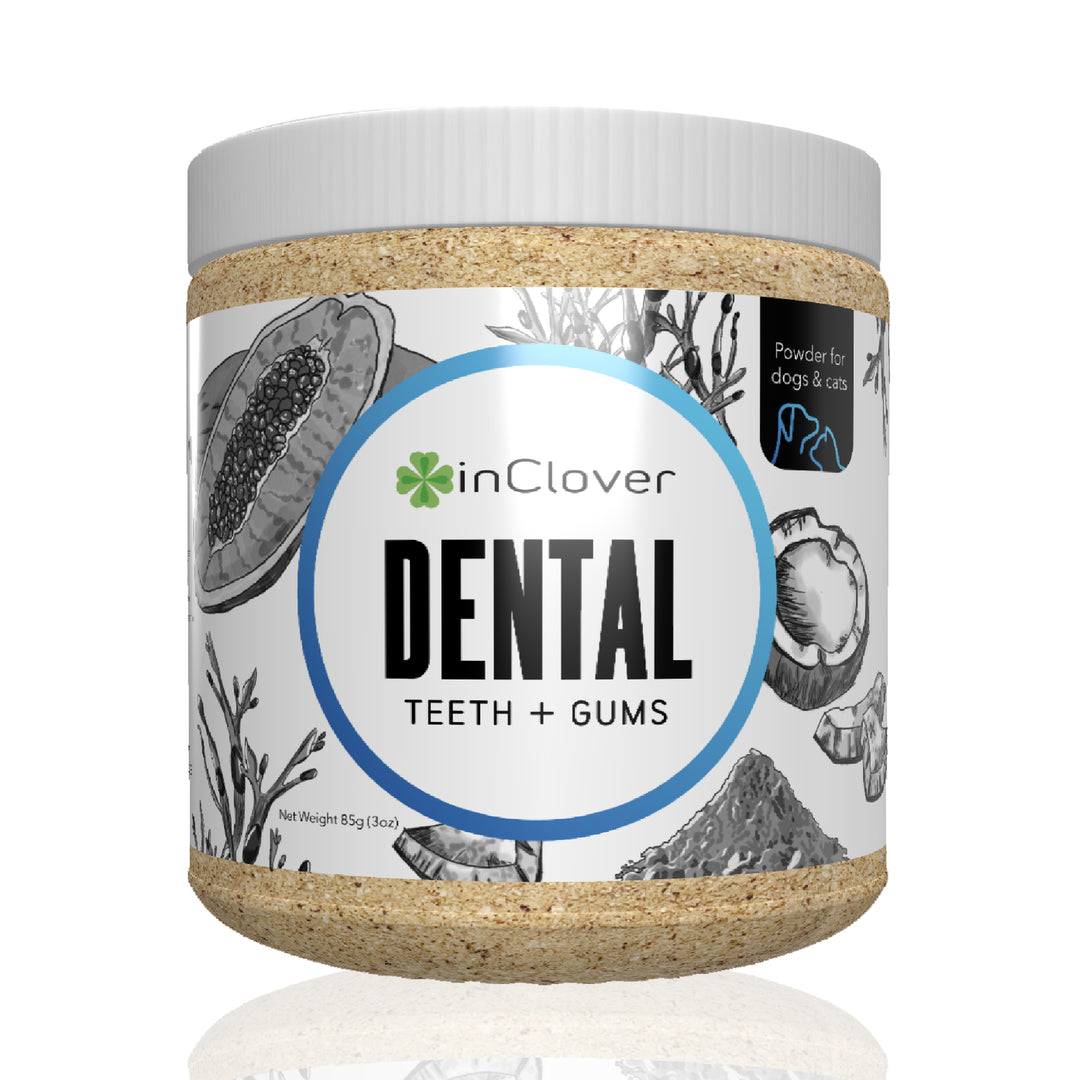 InClover Dog Cat BioBrilliant Dental 85 Grams