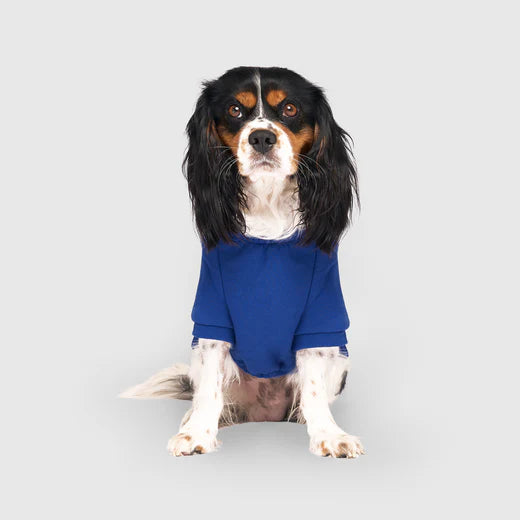 Canada Pooch Eco+ Everyday Hoodie Cobalt