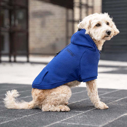 Canada Pooch Eco+ Everyday Hoodie Cobalt