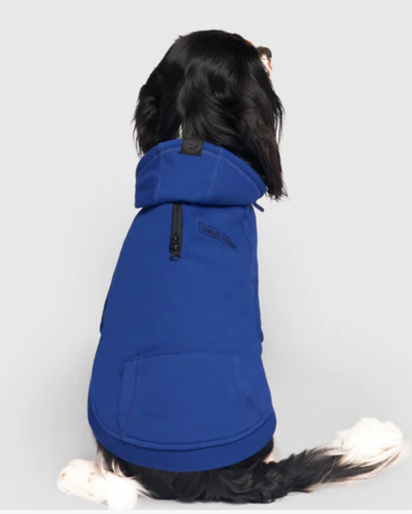 Canada Pooch Eco+ Everyday Hoodie Cobalt