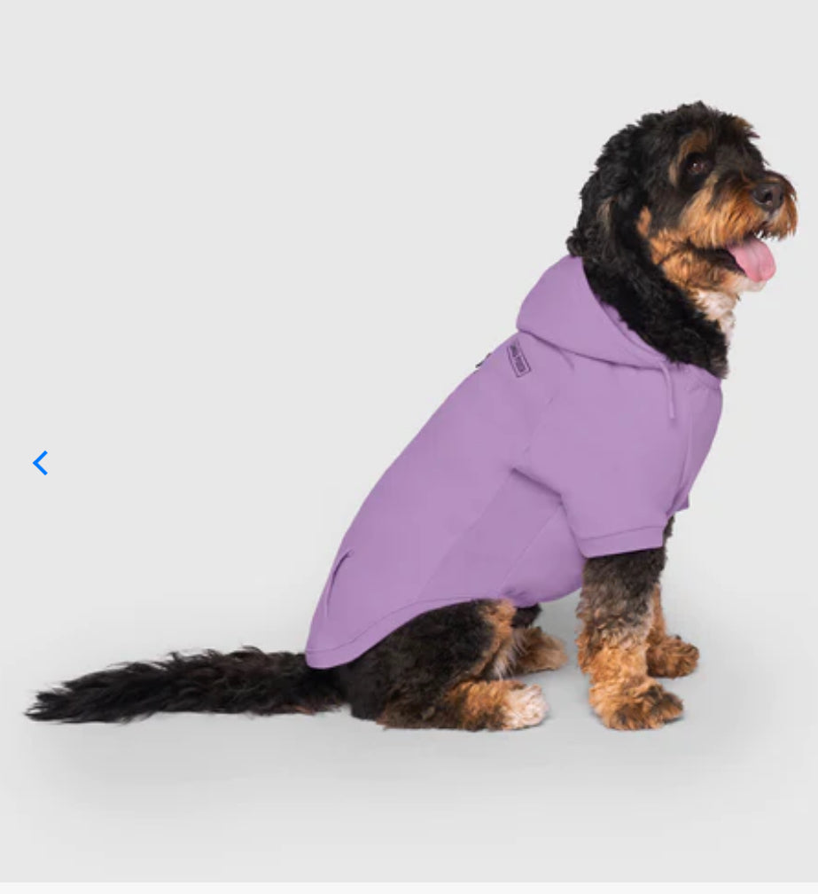 Canada Pooch Eco+ Everyday Lilac