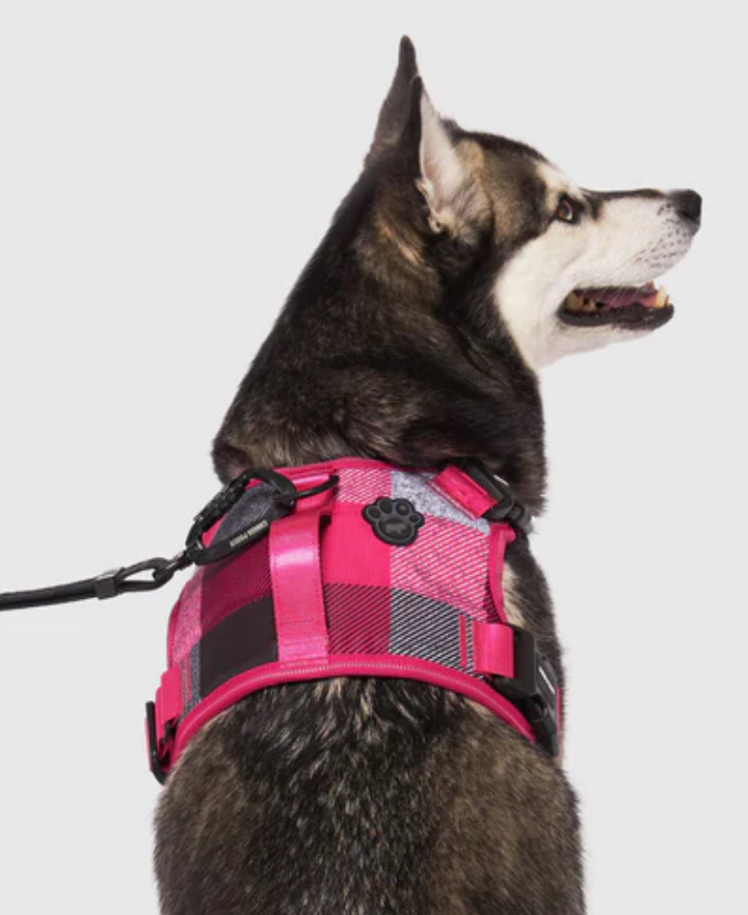 Canada Pooch Complete Control Harness Pink Plaid