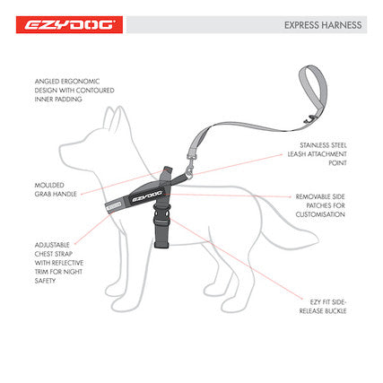 EzyDog Express Harness Gray