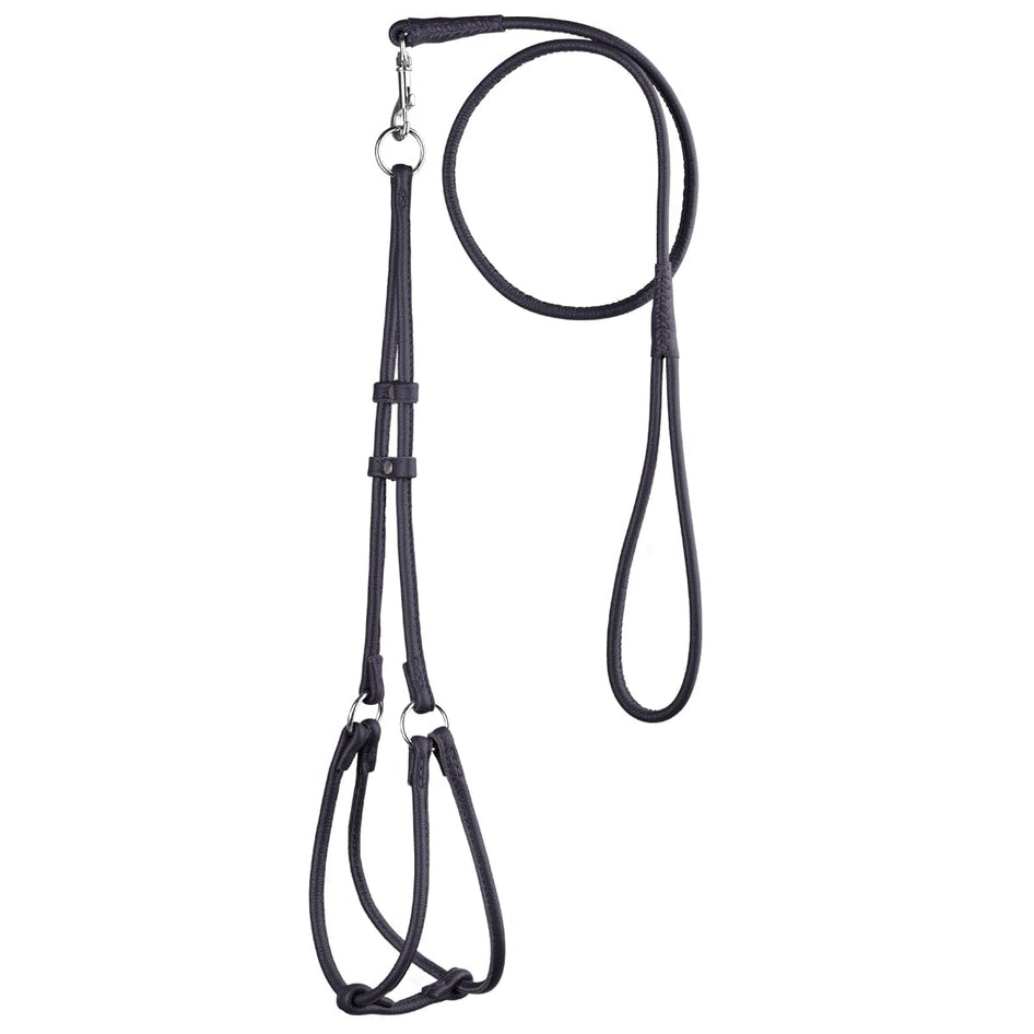 Dogline Leather Round Step-In Harness/Lead Combo- Black