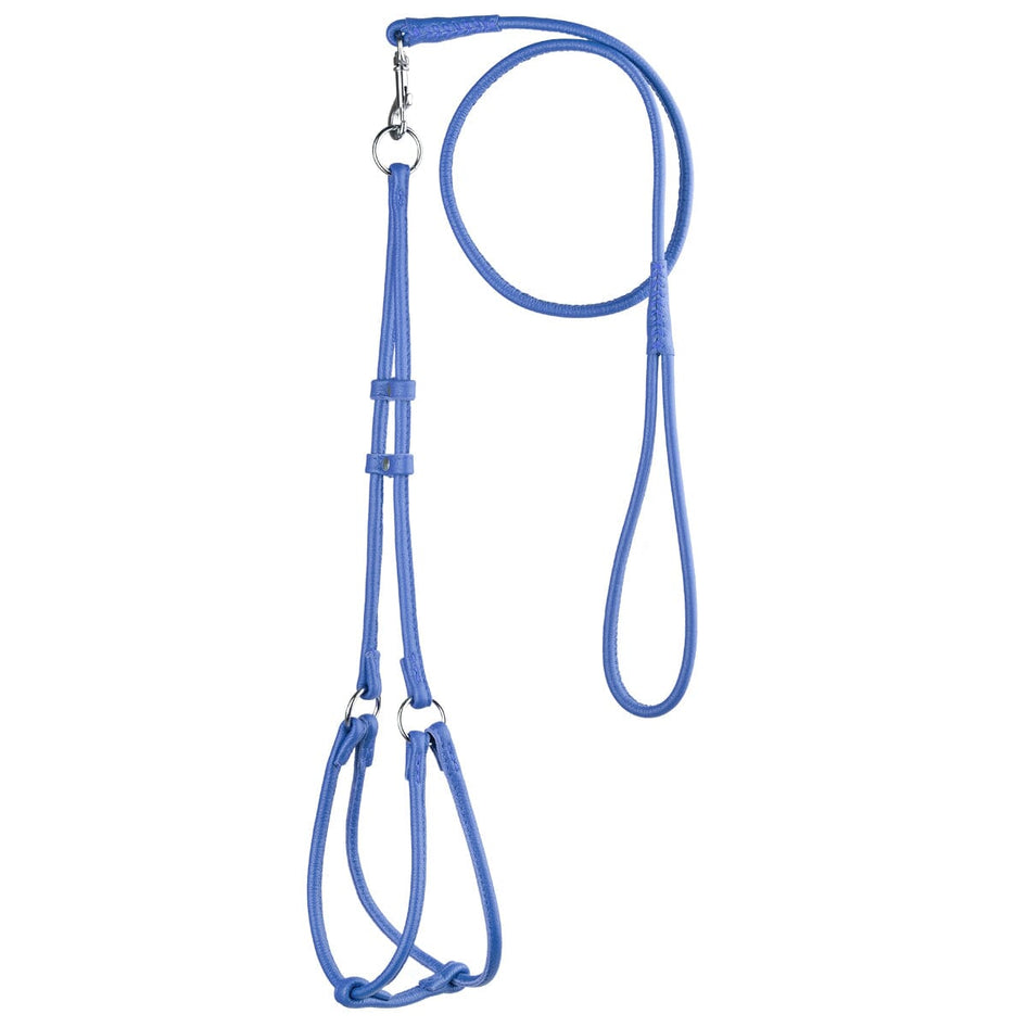 Dogline Leather Round Step-In Harness/Lead Combo- Royal Blue