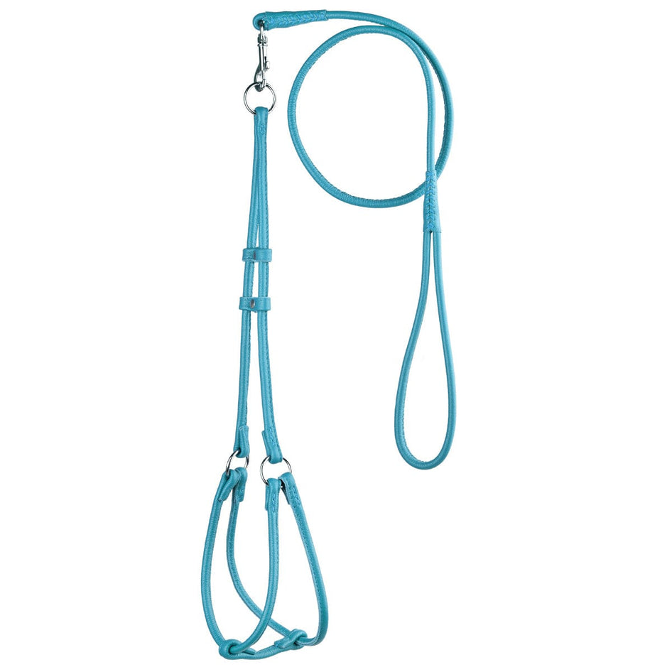 Dogline Leather Round Step-In Harness/Lead Combo- Teal