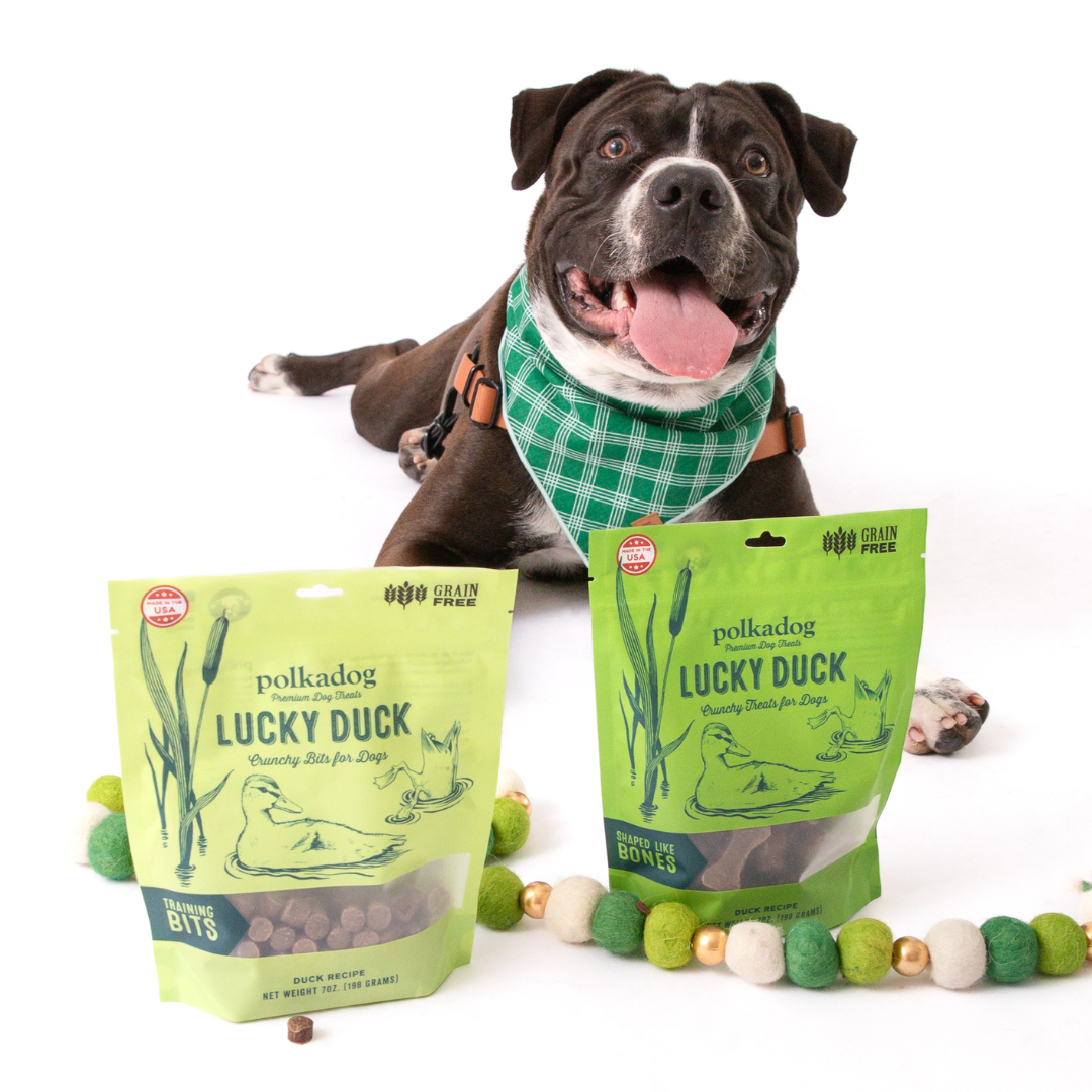 Polka Dog Lucky Duck Bites 8oz