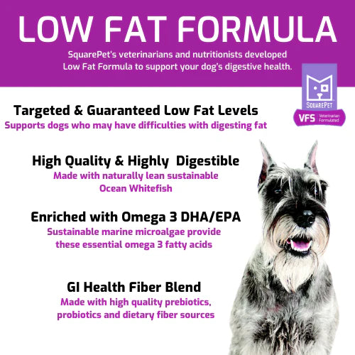 SquarePet VFS Canine Low Fat Formula