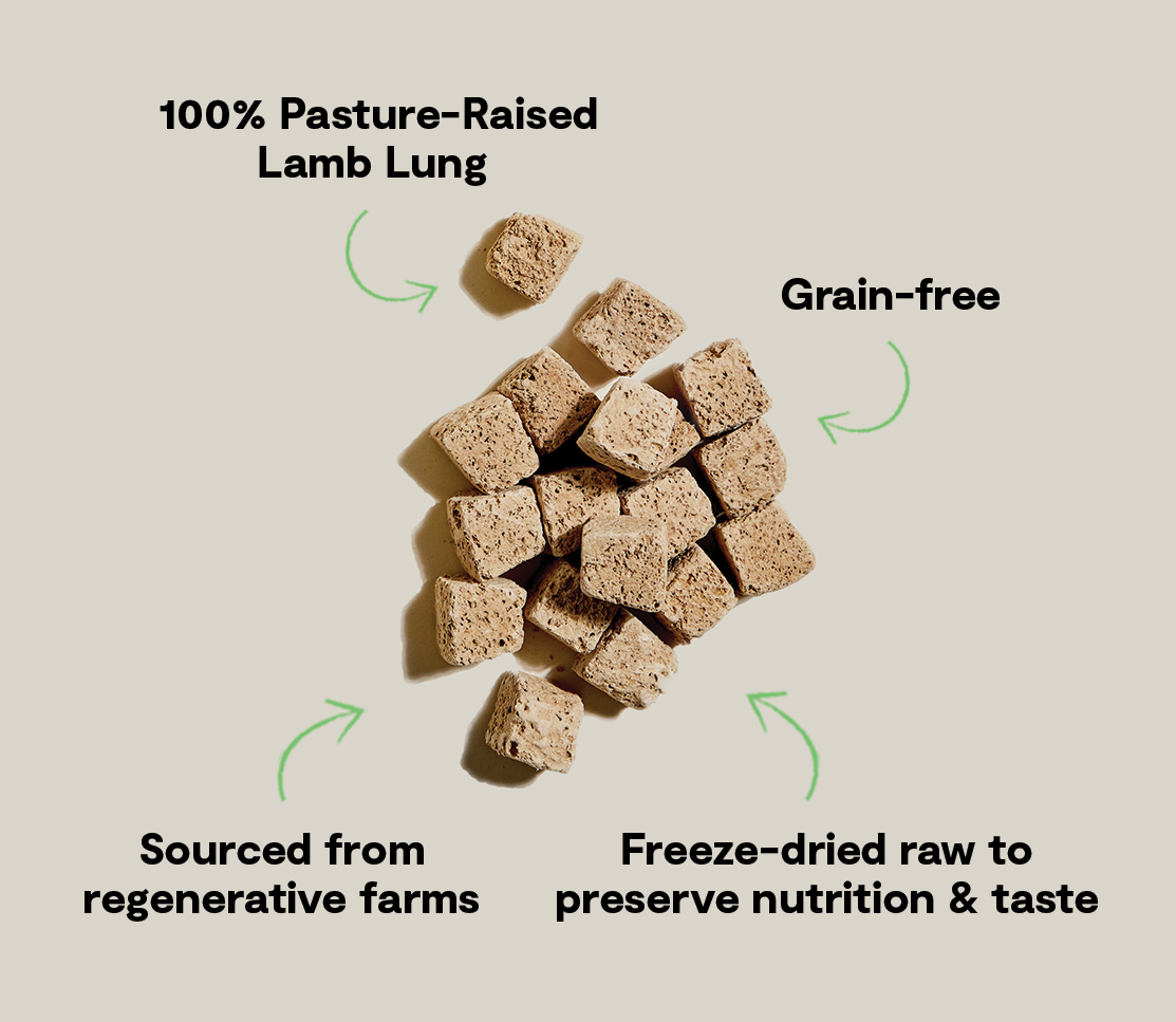 Open Farm Freeze Dried Raw Cubes Lamb Lung