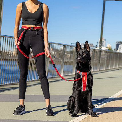 EzyDog Road Runner Leash - Red