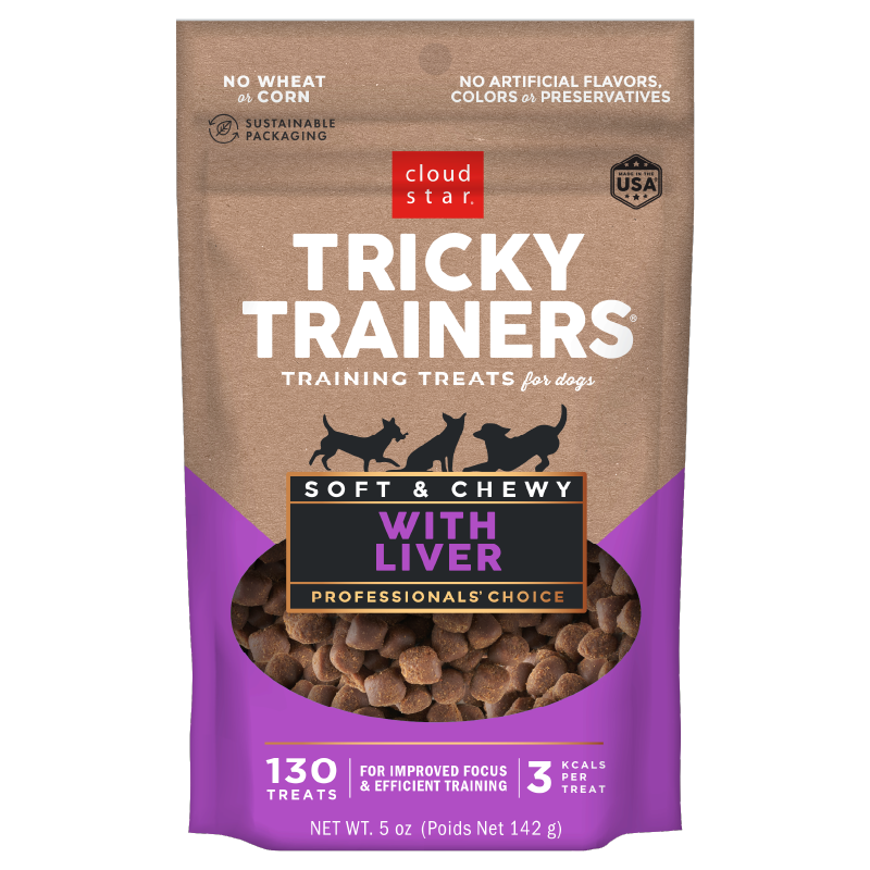 Cloudstar Tricky Trainers With Liver