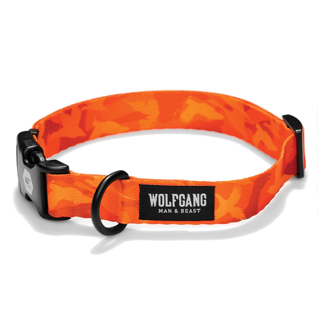 Wolfgang BirdDog Collar