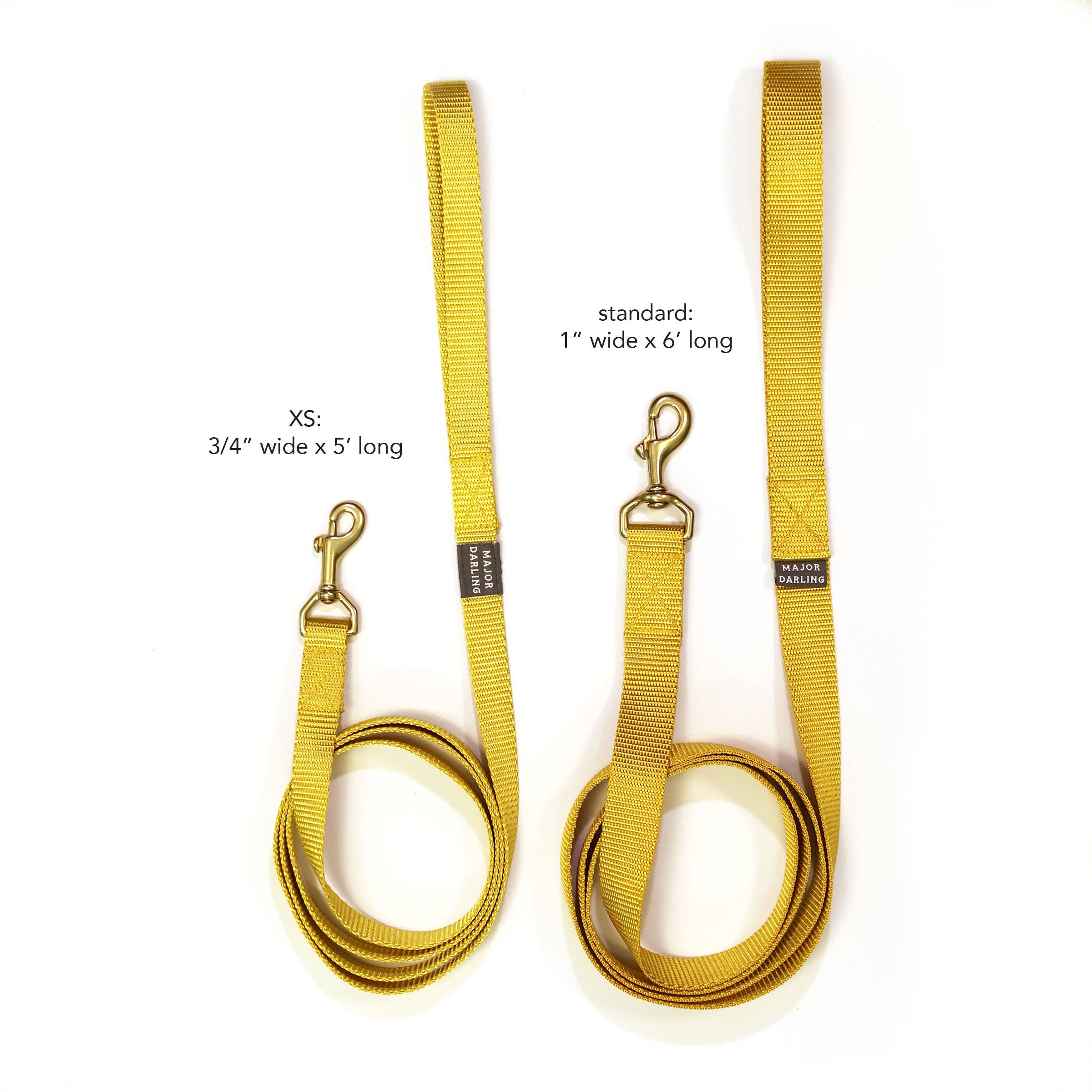 Major Darling Basic Leash Standard (1" wide)