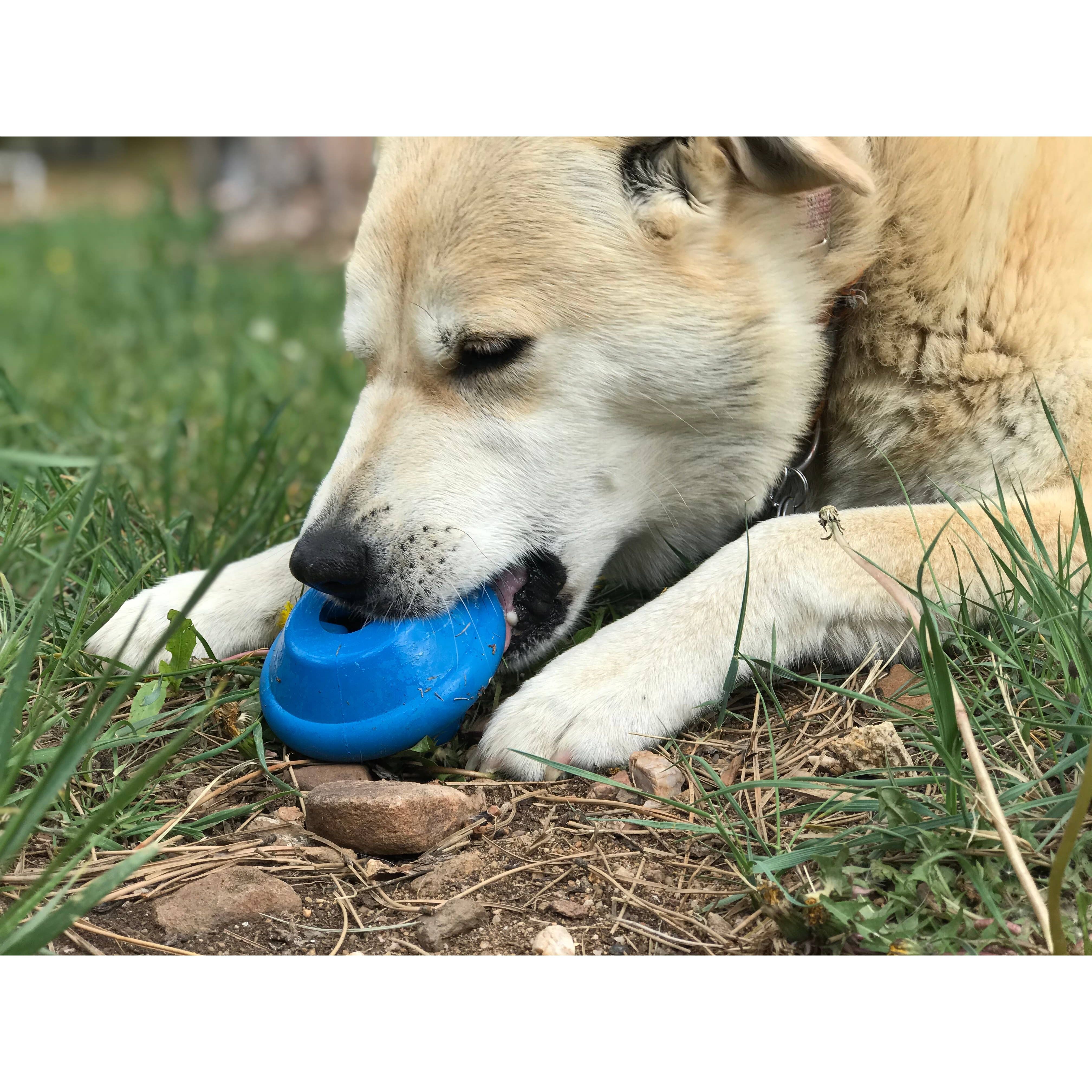 SodaPup Spotnik Flying Saucer Durable Rubber Chew Toy & Treat Dispenser