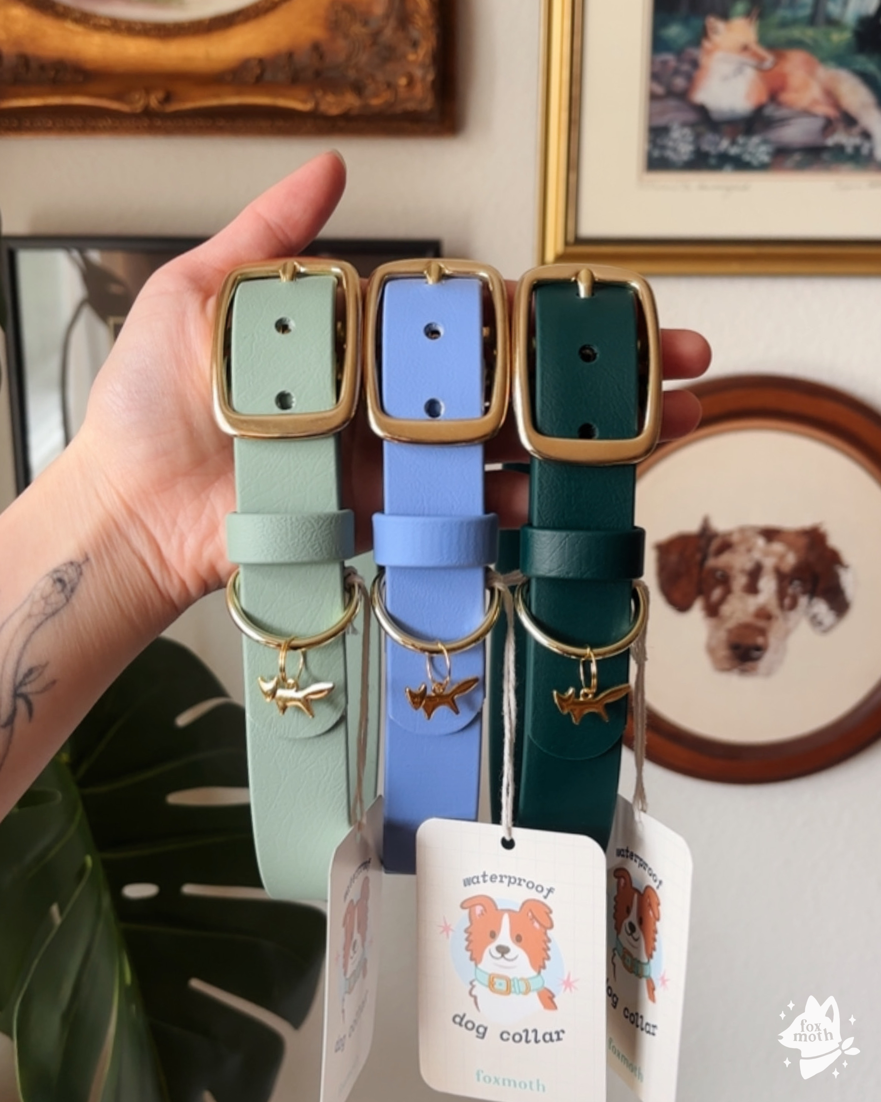Foxmoth Waterproof Biothane Collar