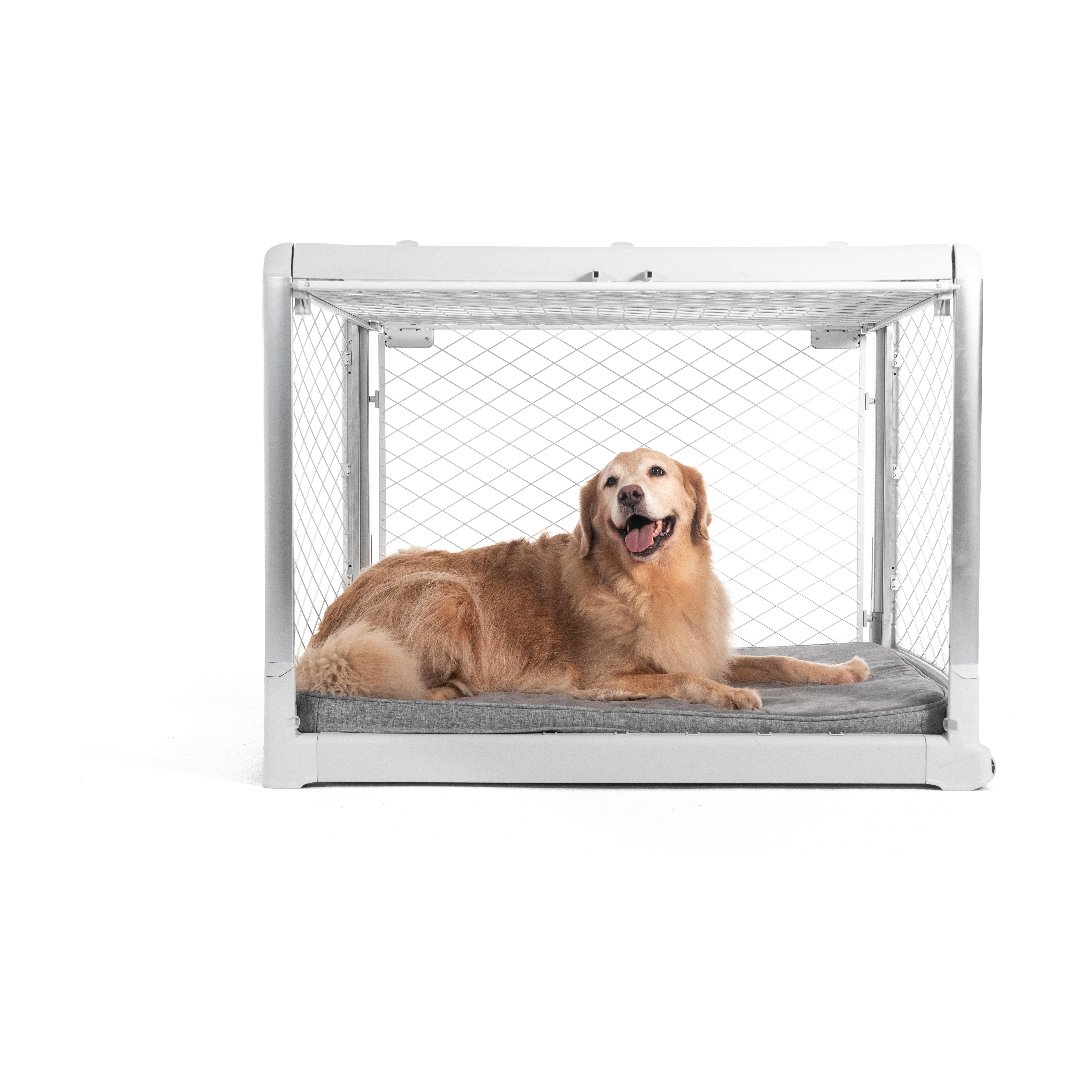 Diggs Revol Collapsible Dog Crate