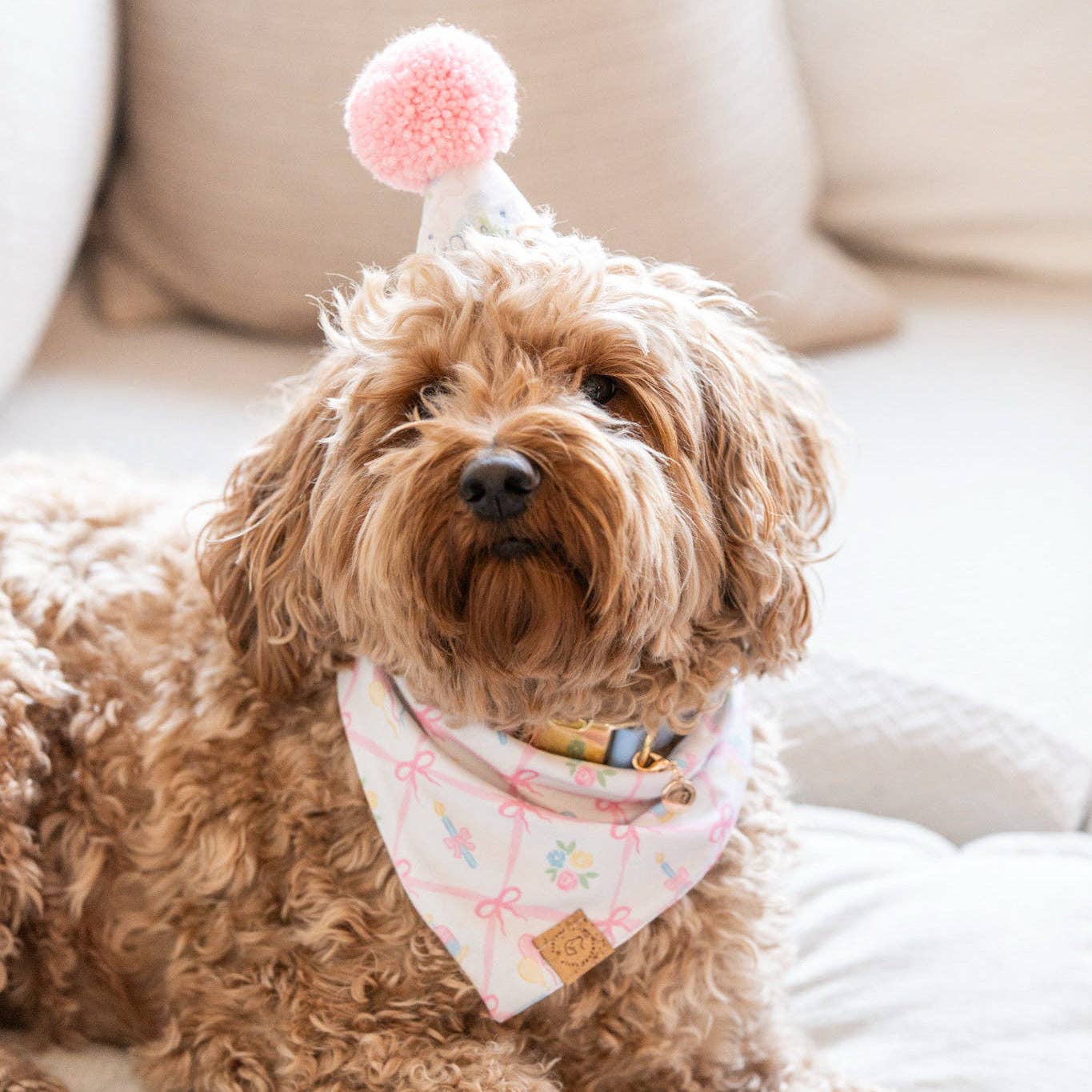Pawsome Tails Pink Celebration Bandana