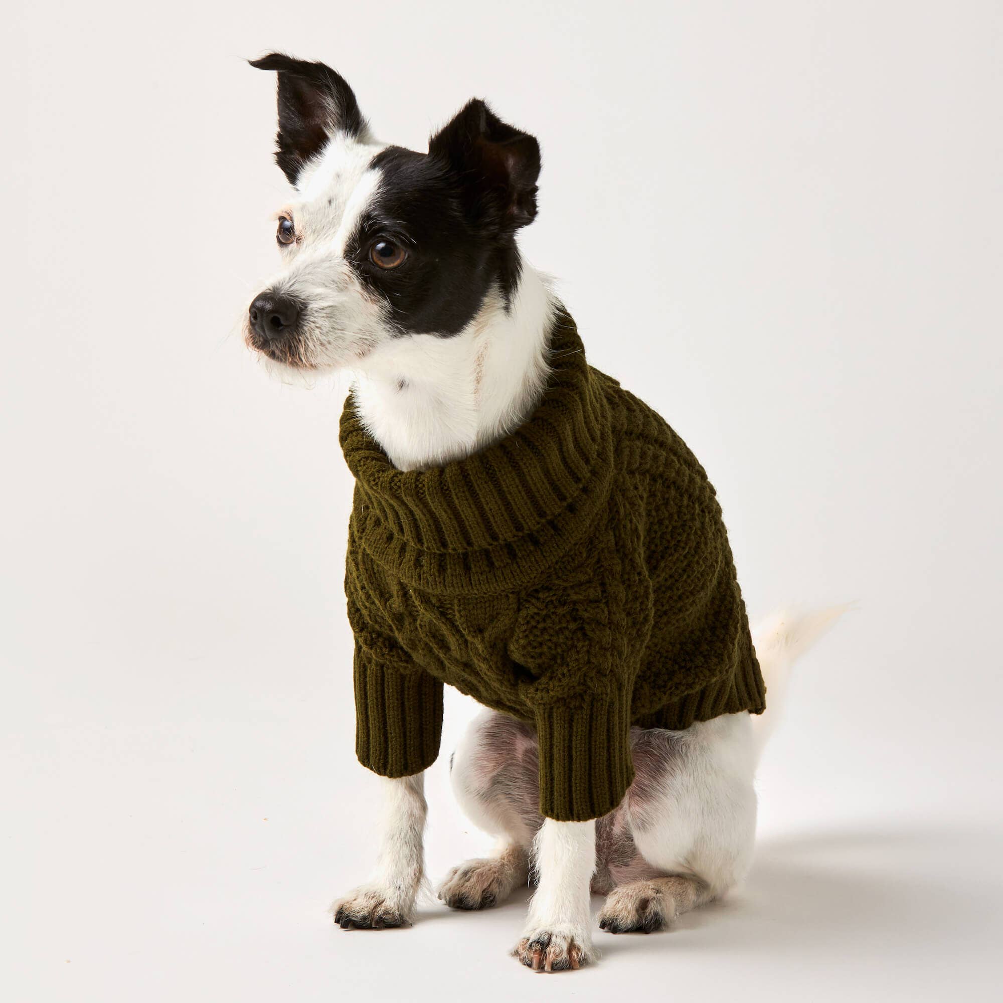 The Foggy Dog Olive Cable Knit Dog Sweater