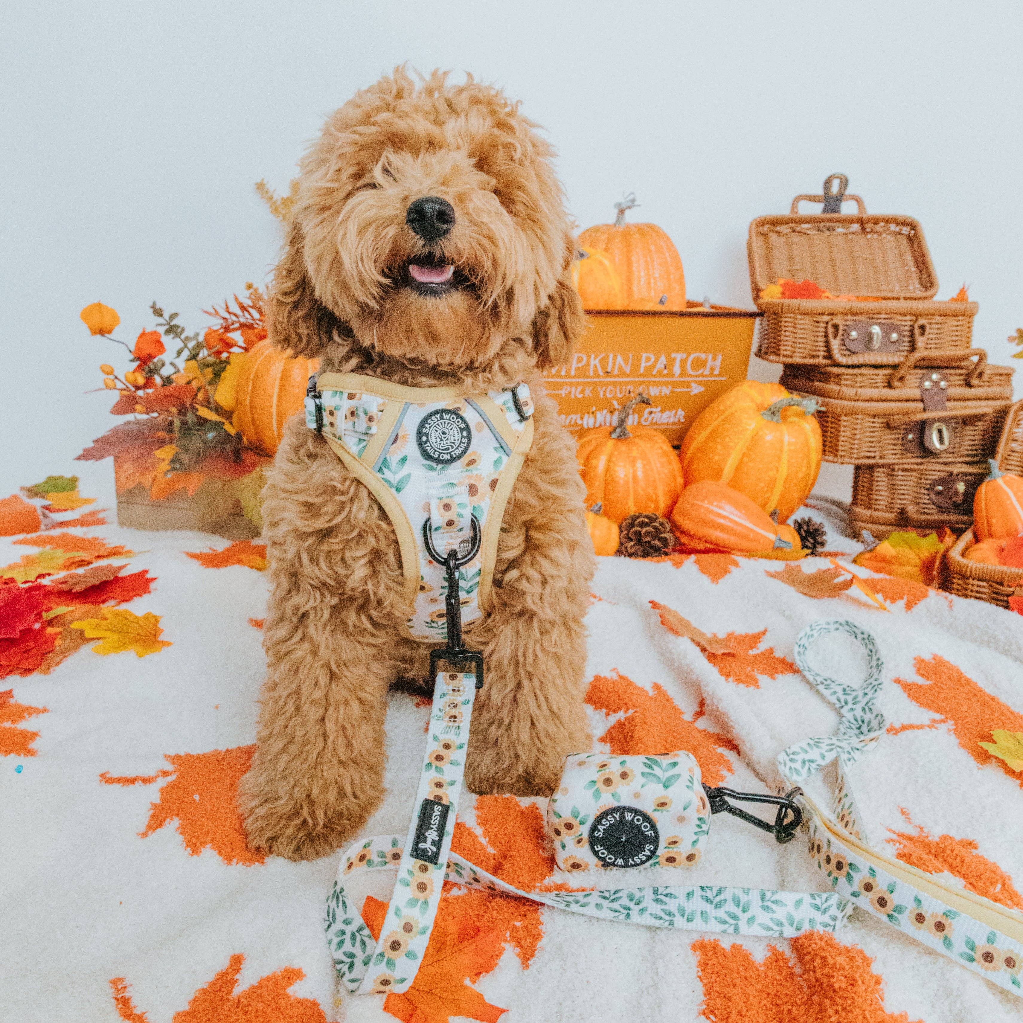 Sassy Woof Waste Bag Holder - Sunflower Dreams
