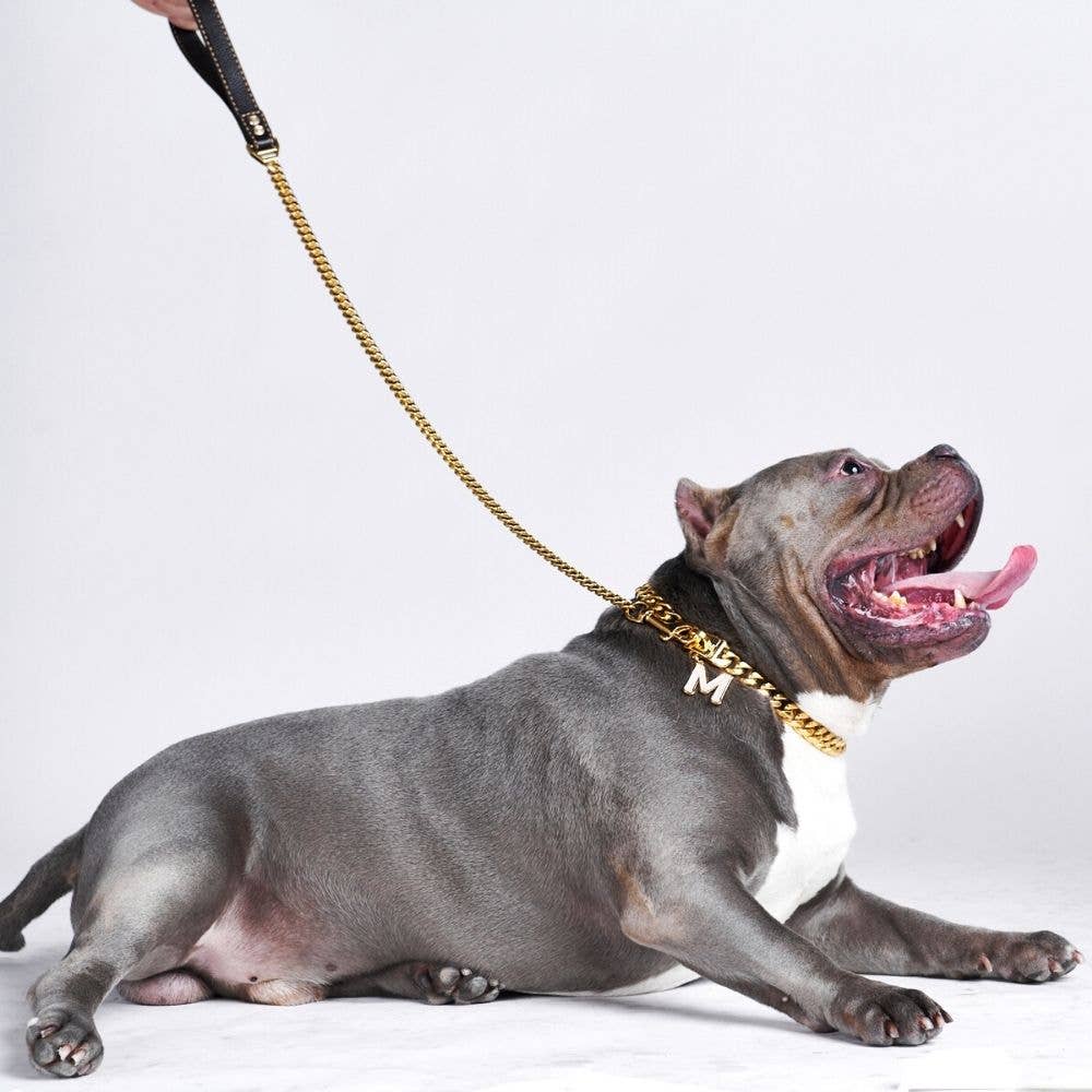 Cuban Link Gold Dog Leash