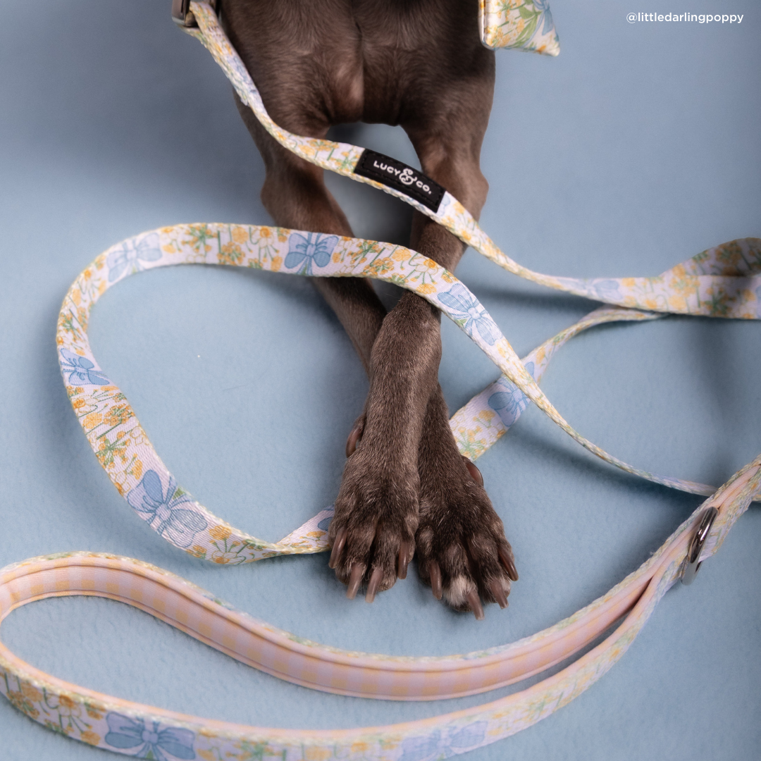 Lucy & Co Sunshine and Daffodils Leash