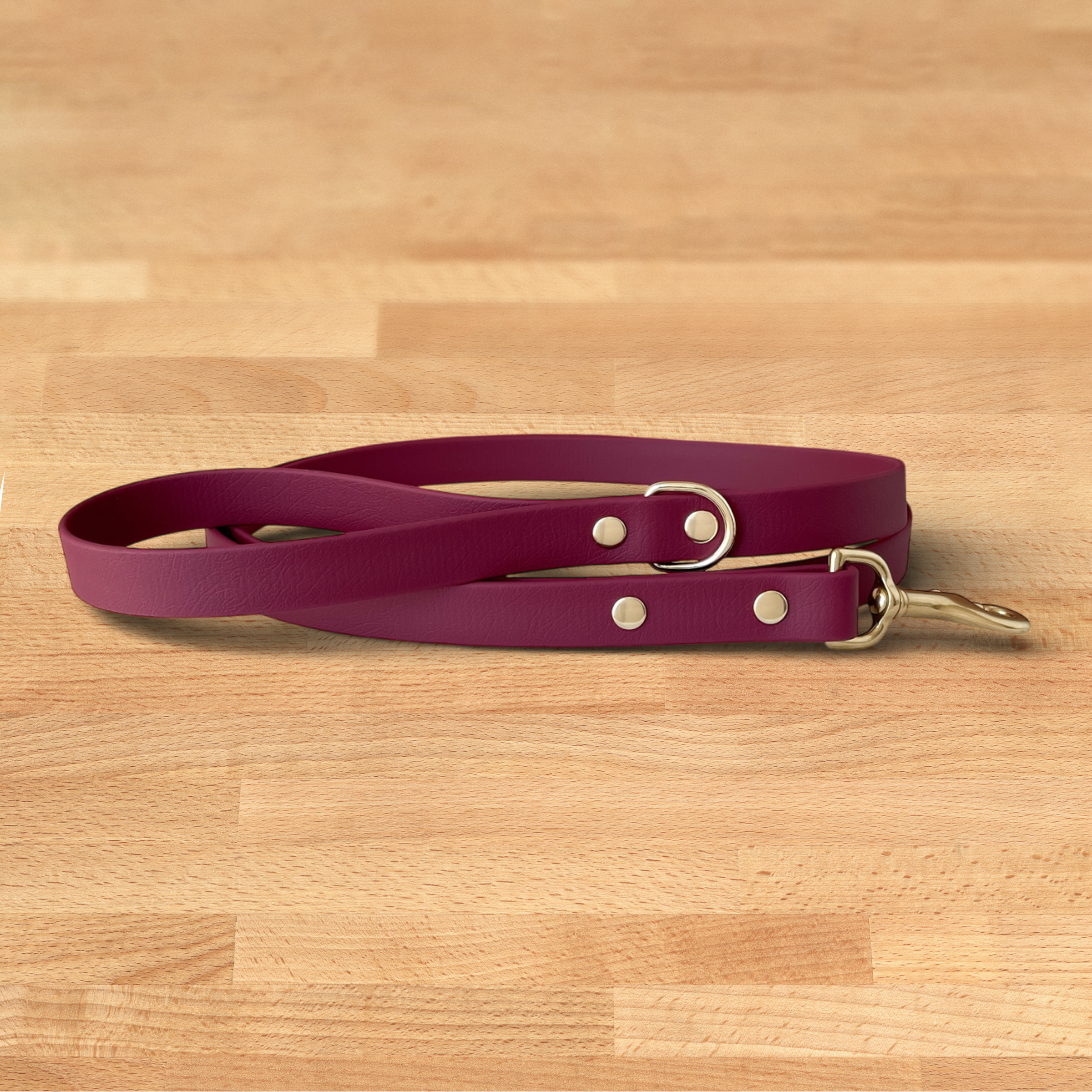 Foxmoth Biothane Waterproof Leash