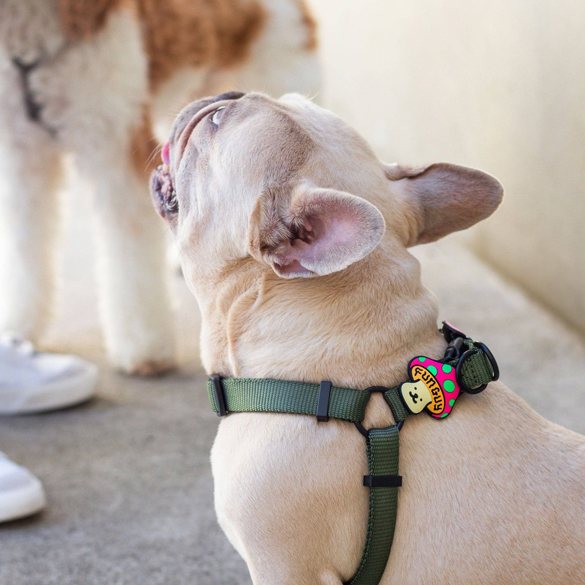 Fun Guy Dog Jiby