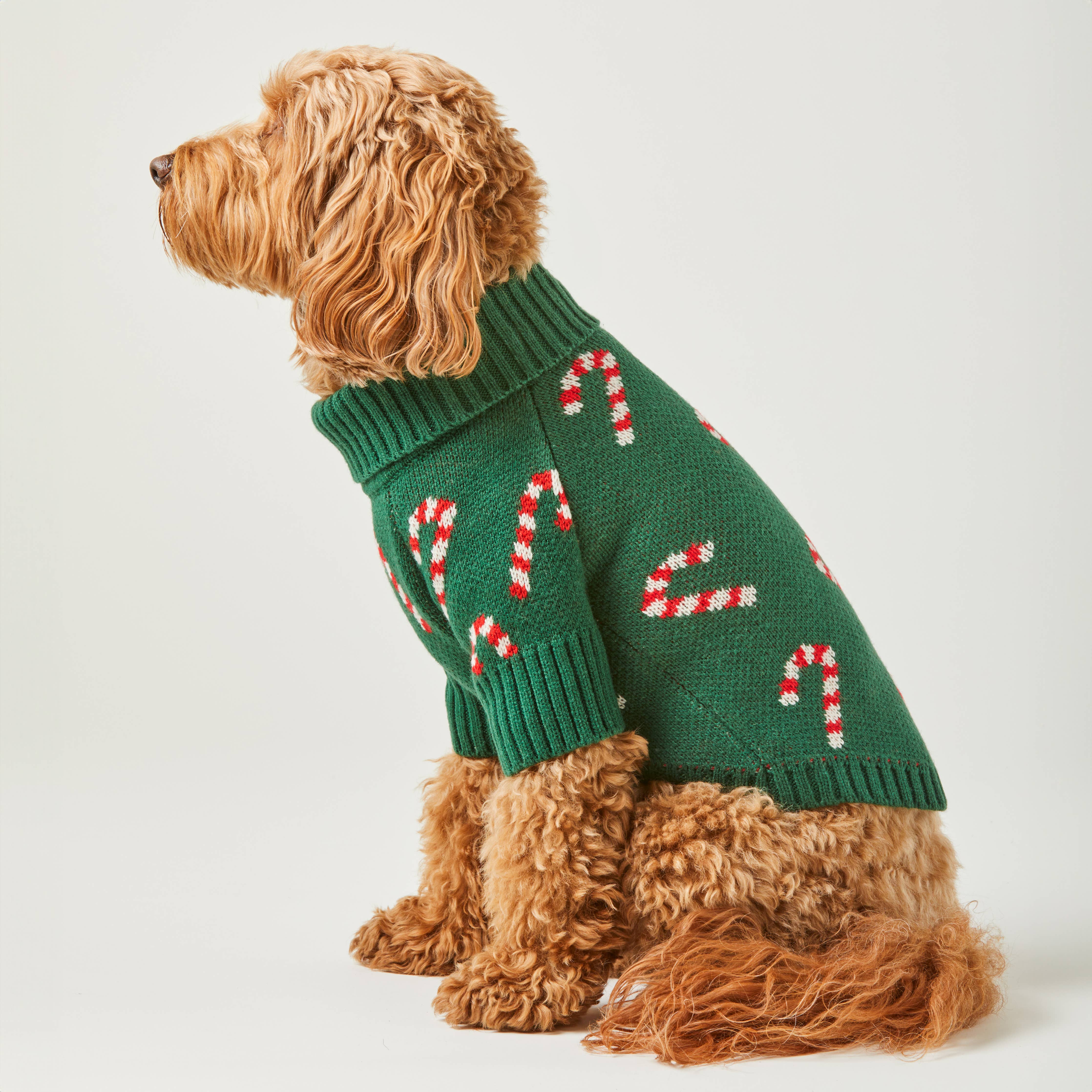 The Foggy Dog Candy Canes Holiday Dog Sweater