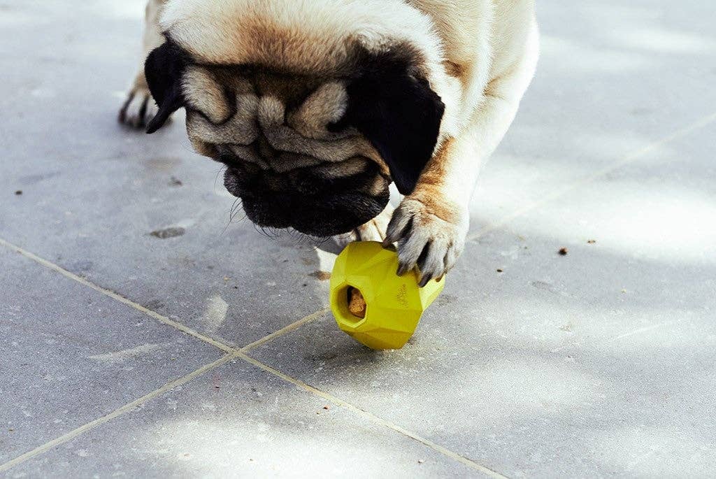 Super Pear | Dog Toy