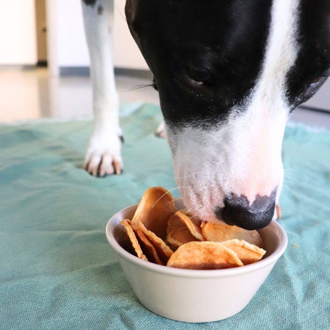 Gaines Family Turkey Tendon Chips