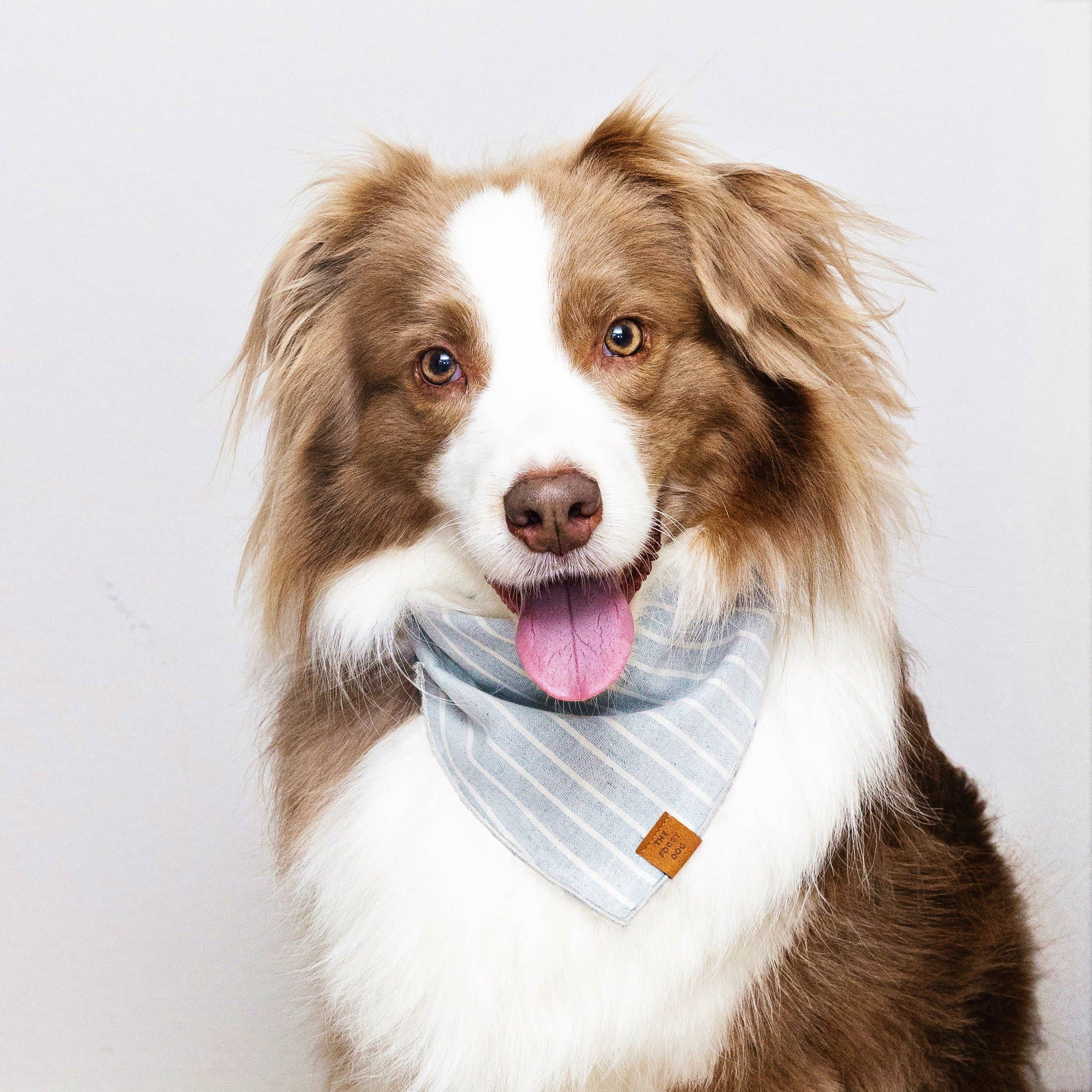 The Foggy Dog Upcycled Denim Stripe Sustainable Dog Bandana